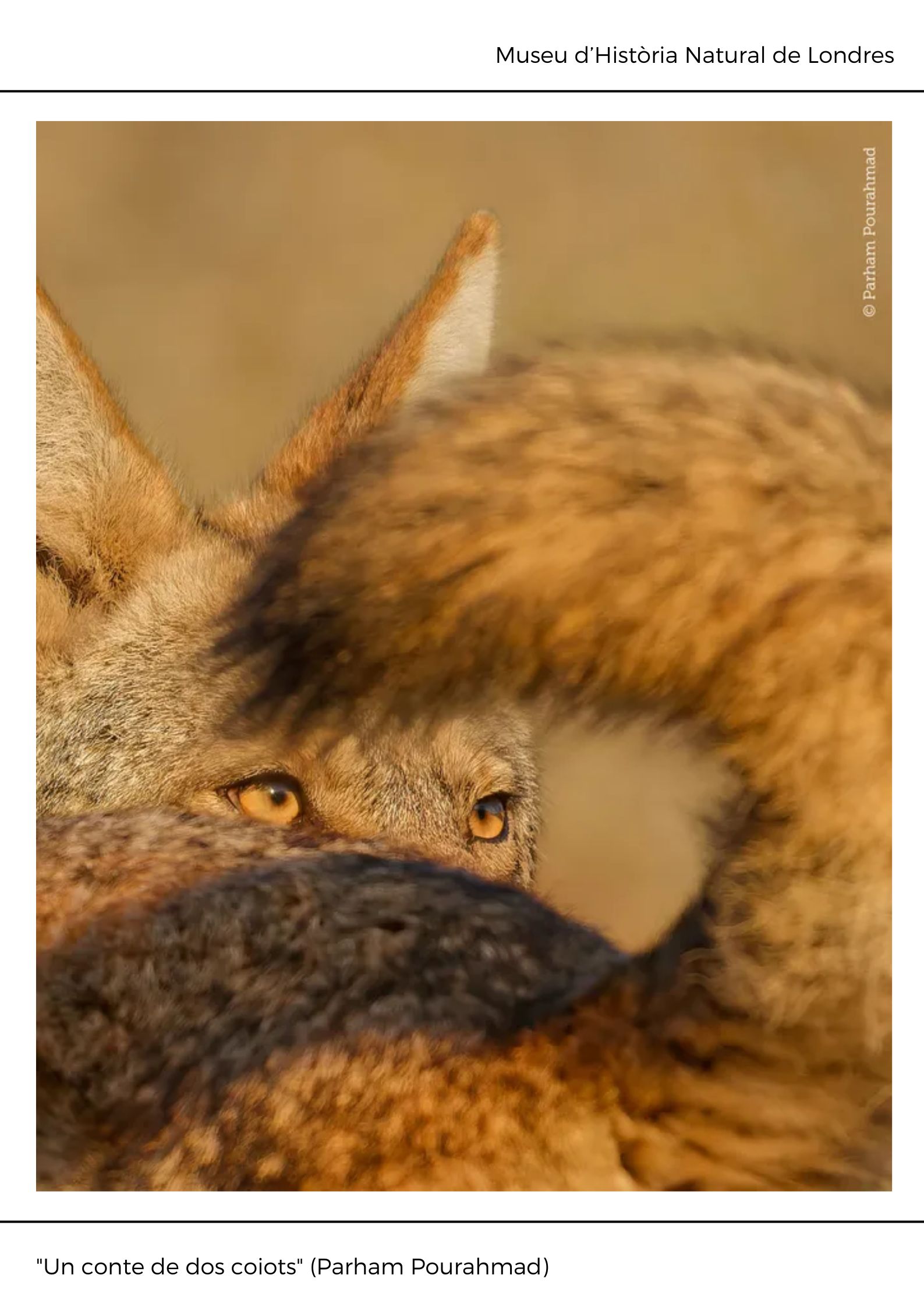 Black and White Abstract Modern Memphis Art Exhibition Poster (11)