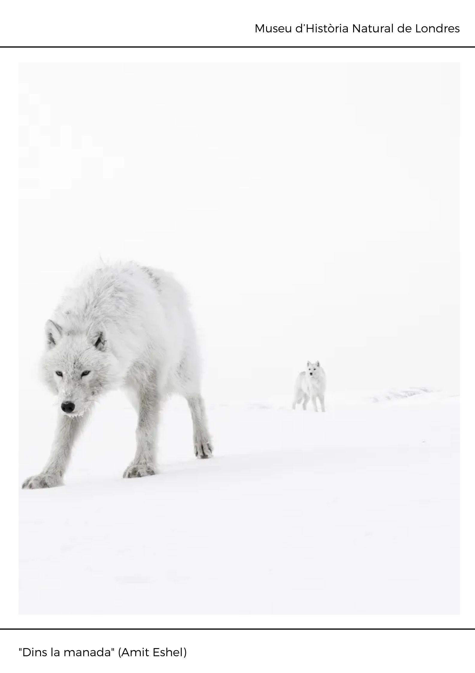 Black and White Abstract Modern Memphis Art Exhibition Poster (3)