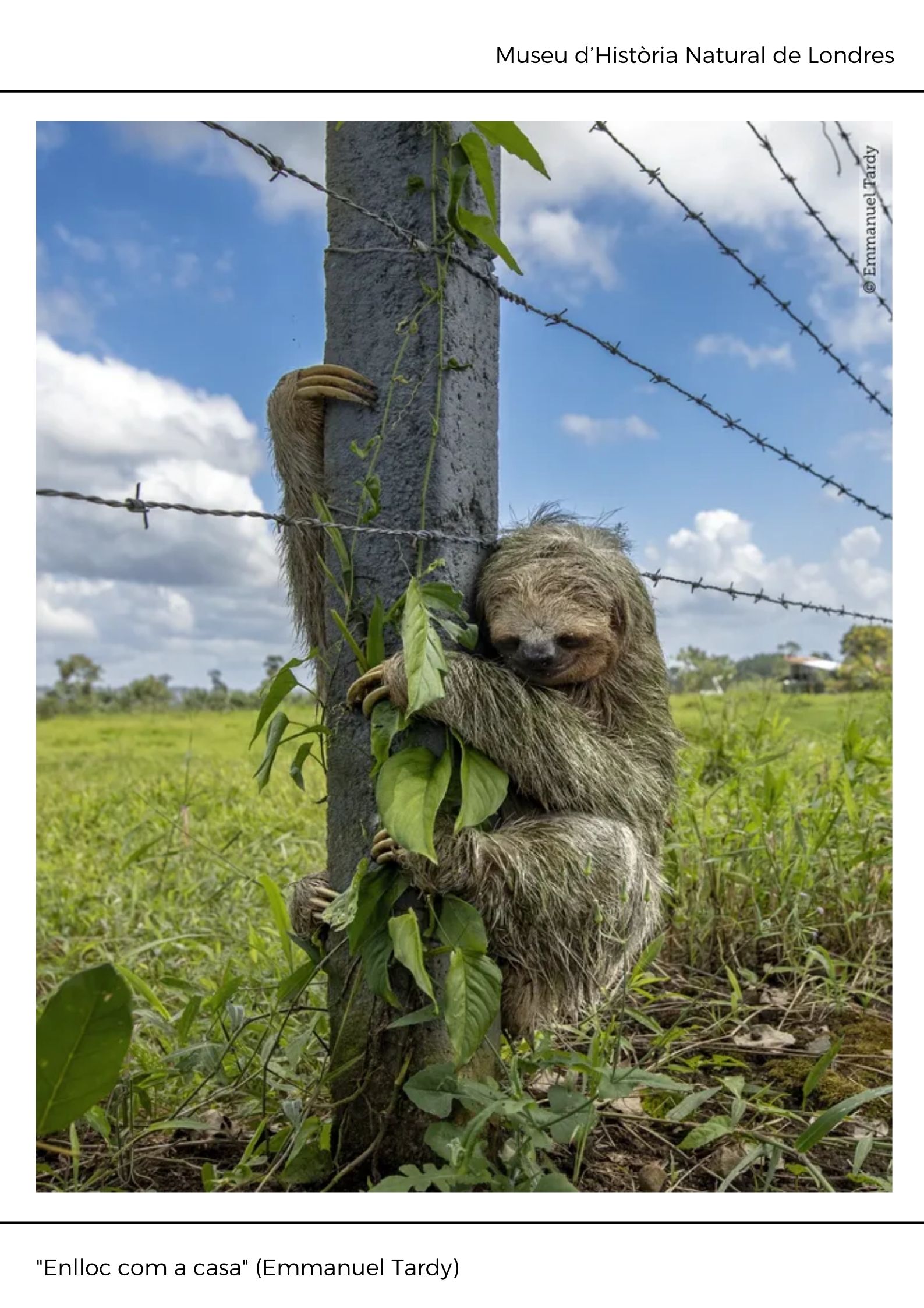 Black and White Abstract Modern Memphis Art Exhibition Poster (4)