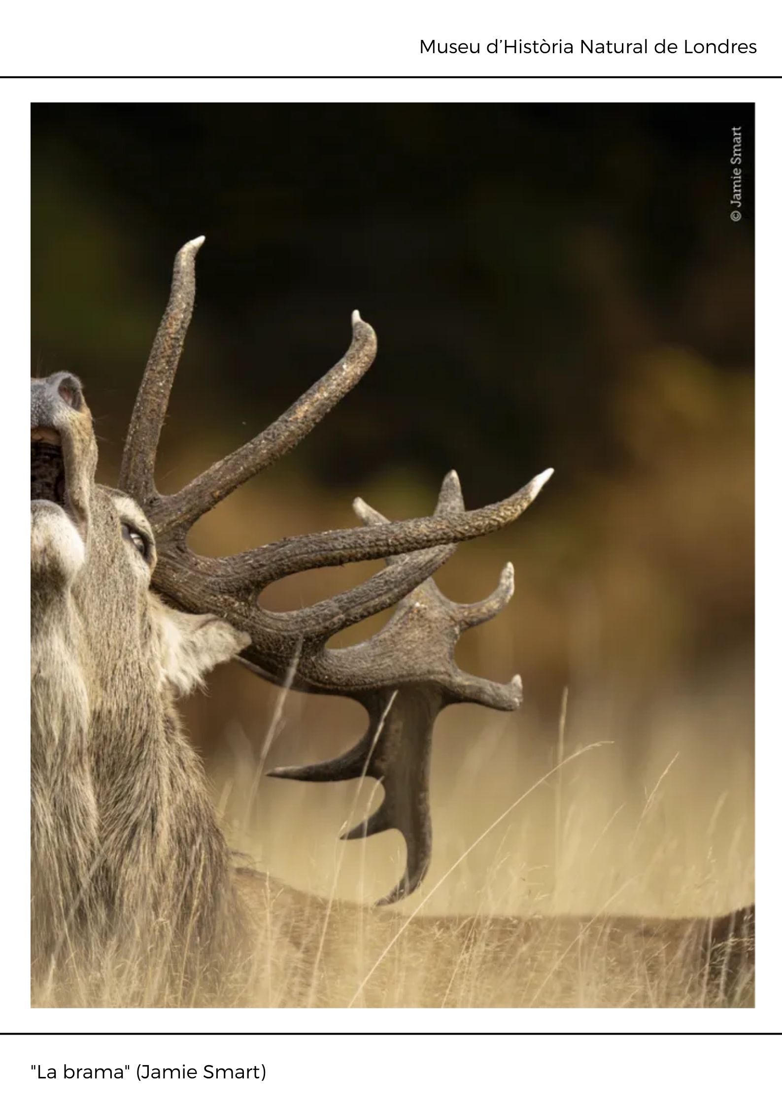 Black and White Abstract Modern Memphis Art Exhibition Poster (5)