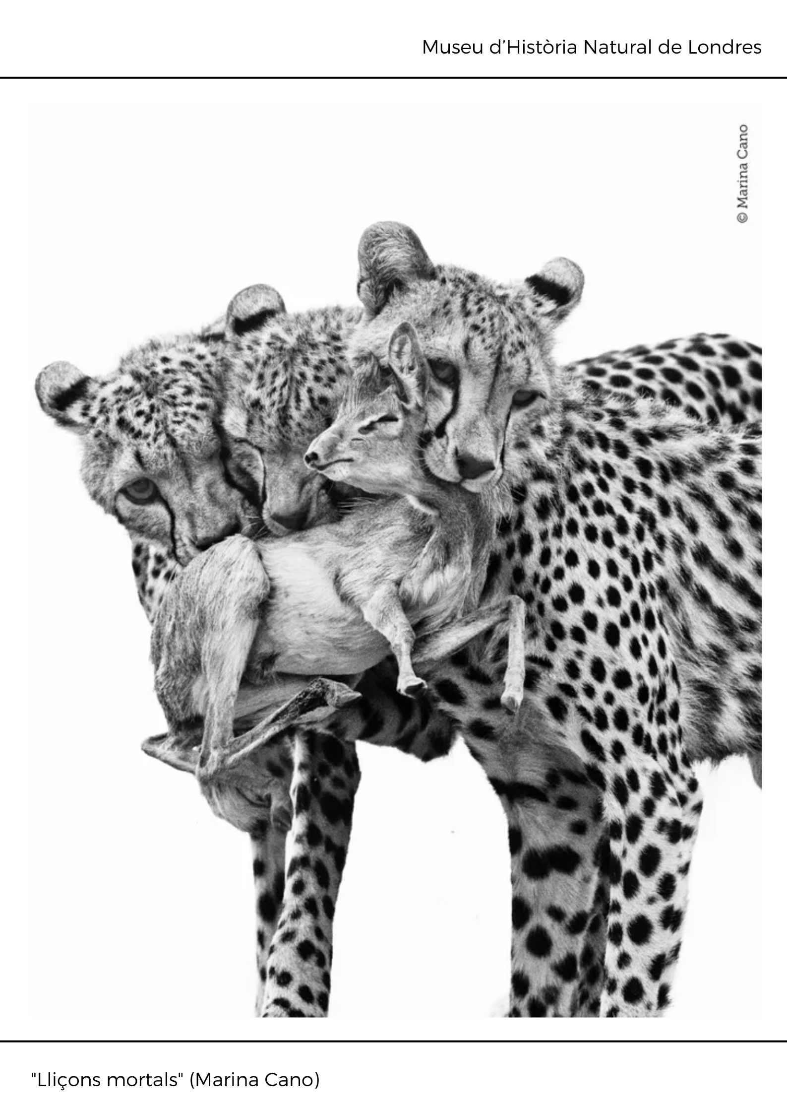 Black and White Abstract Modern Memphis Art Exhibition Poster (6)