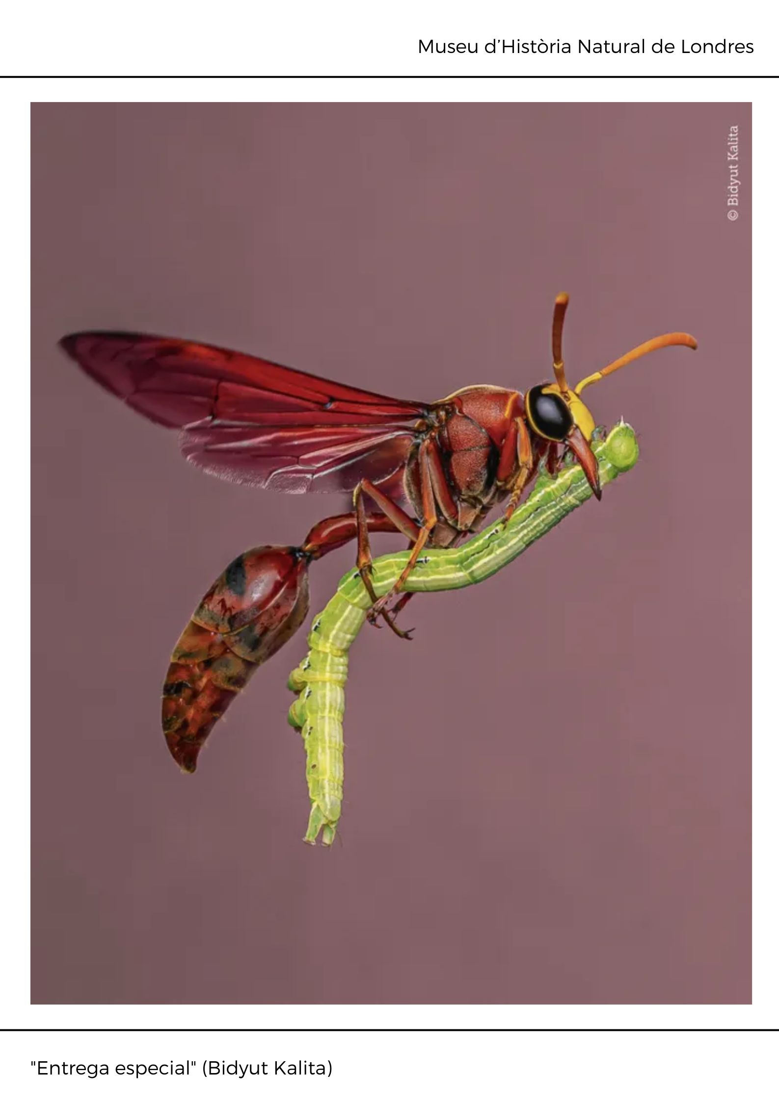 Black and White Abstract Modern Memphis Art Exhibition Poster (7)