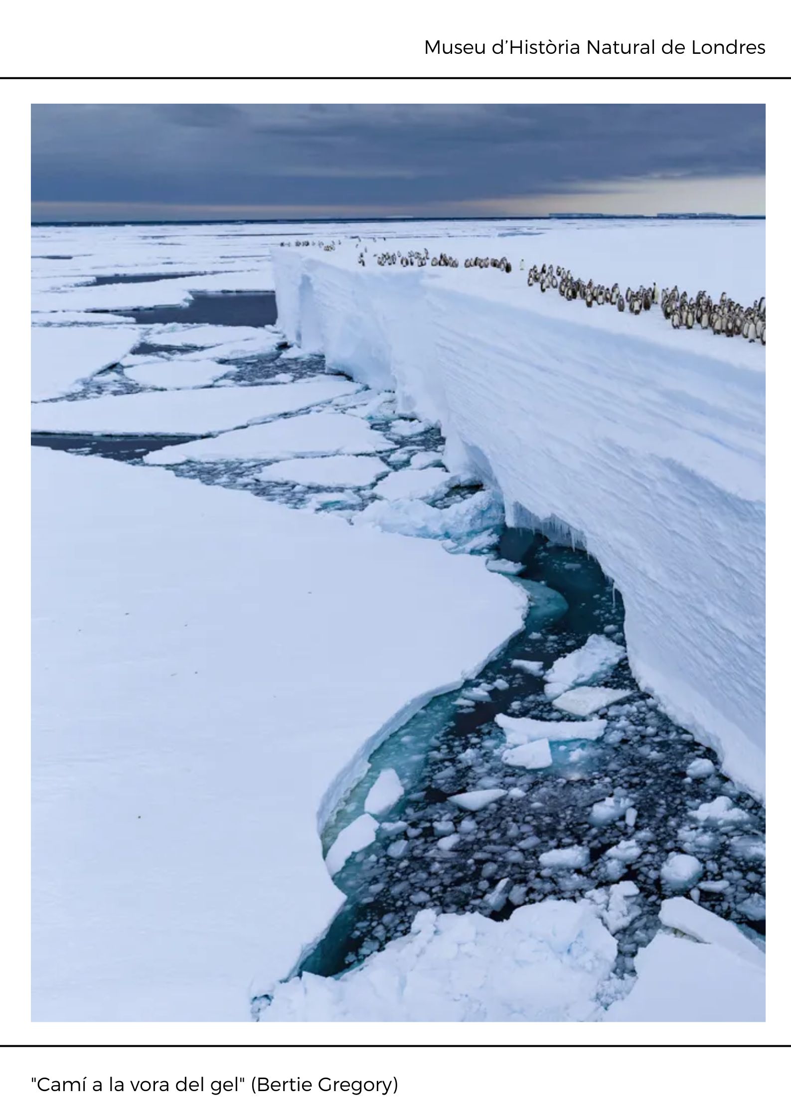 Black and White Abstract Modern Memphis Art Exhibition Poster (8)