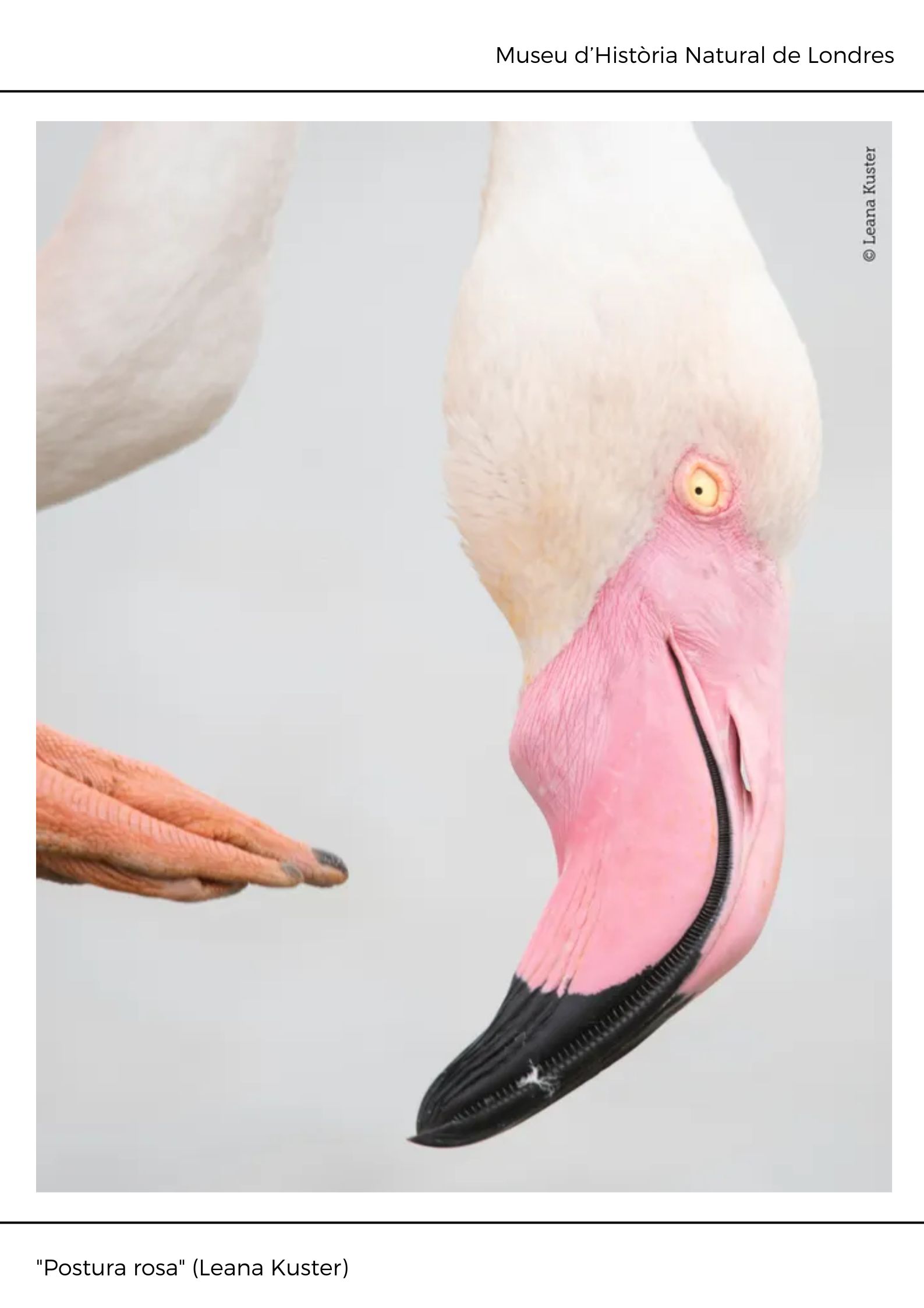 Black and White Abstract Modern Memphis Art Exhibition Poster (9)