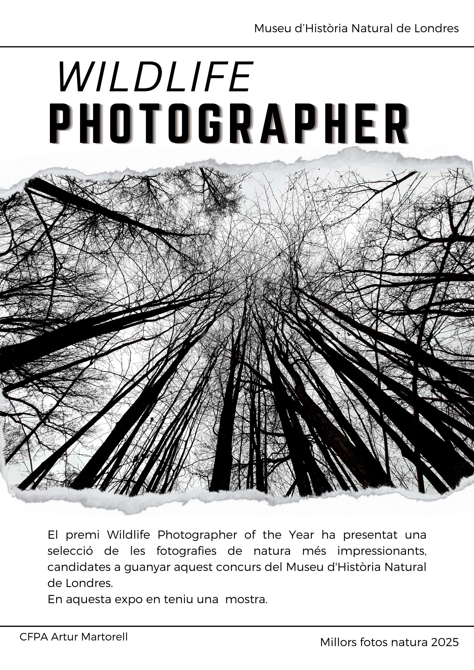 Black and White Abstract Modern Memphis Art Exhibition Poster