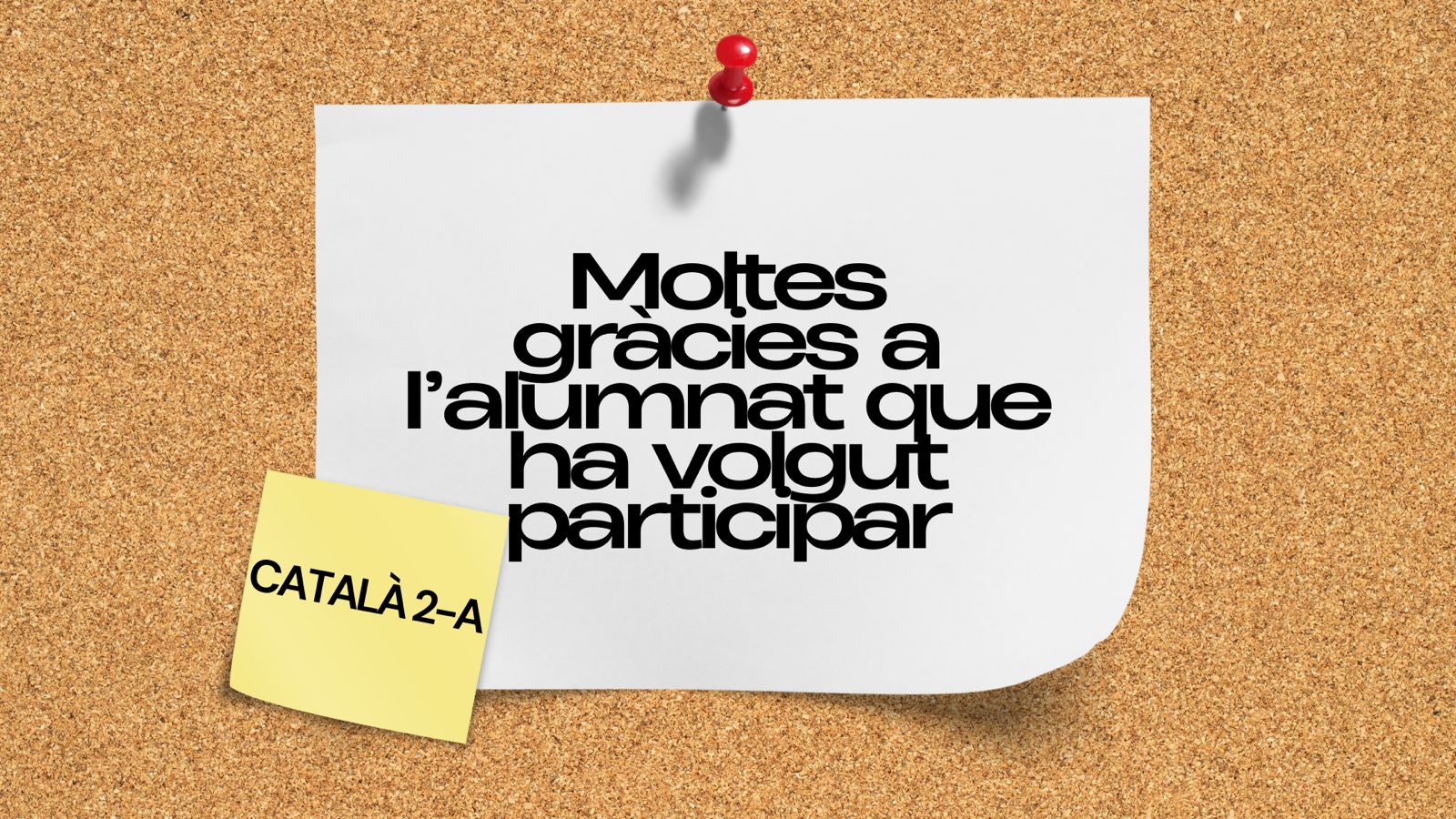 WhatsApp Image 2026-02-09 at 19.40.46 (3)