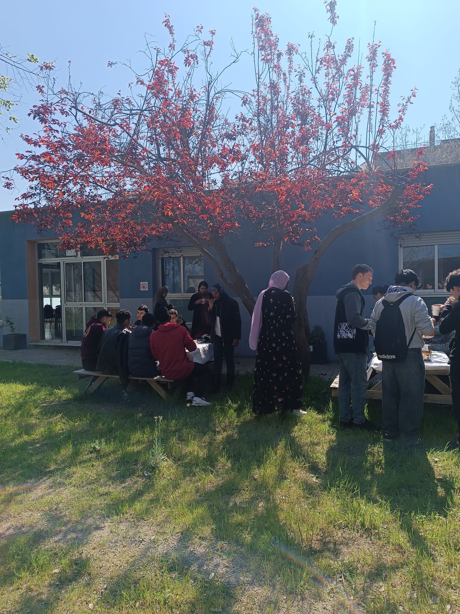 37dc96b3-8900-4824-bf17-e90219e88c33