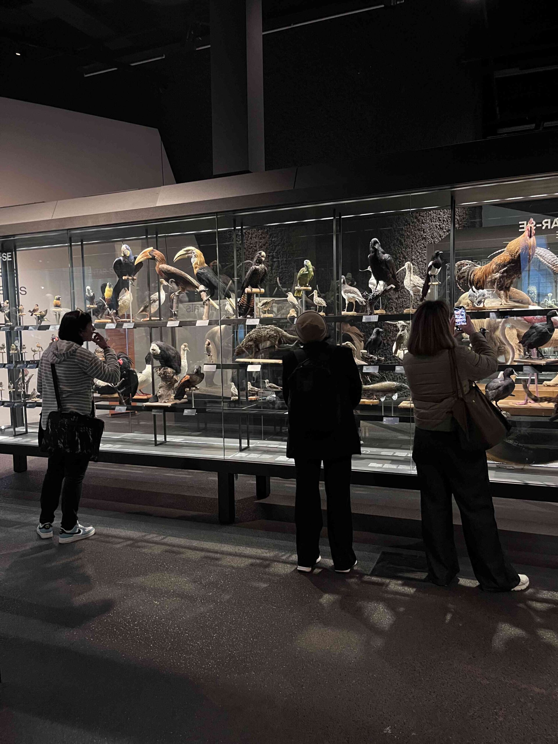 Disseny sense títol (1)