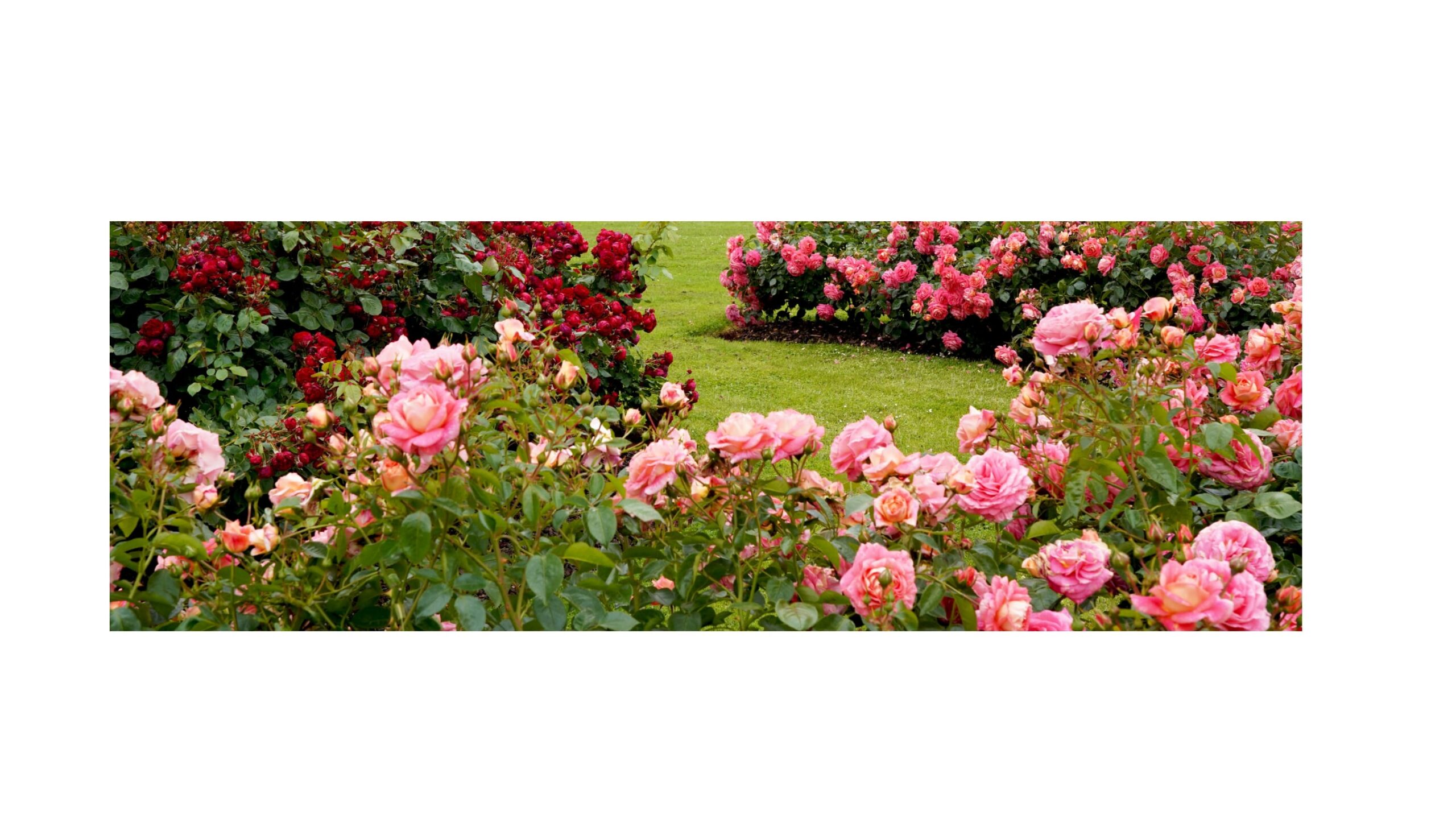 El texto del párrafo_page-0004