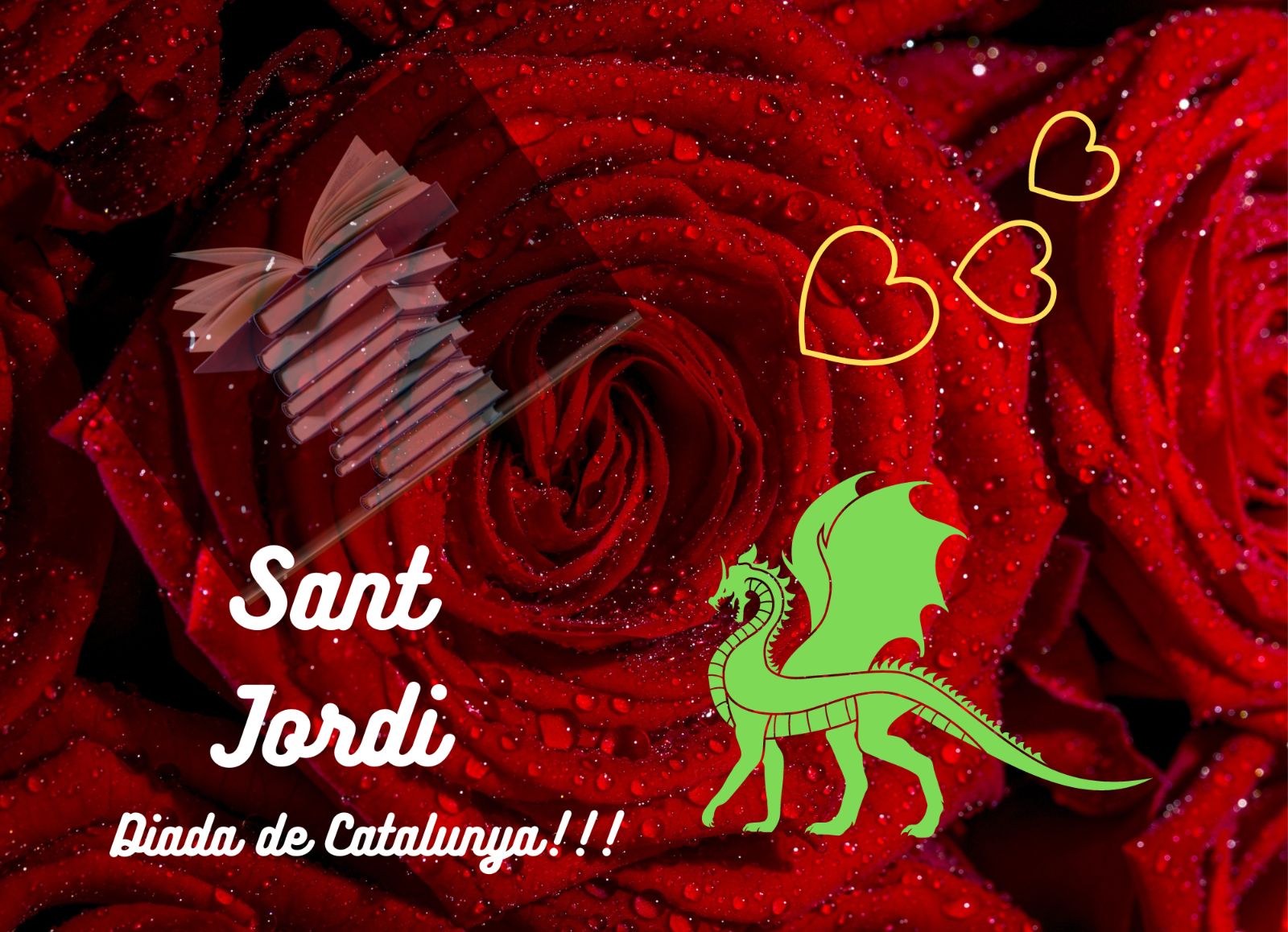 Sant Jordi (11)