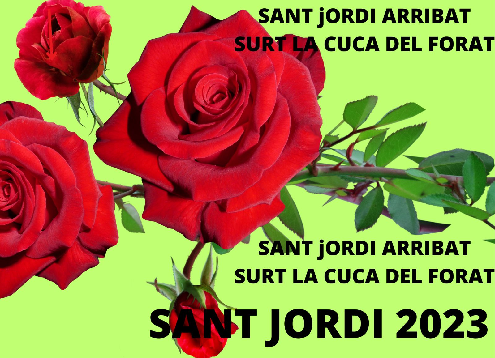 Sant Jordi (12)