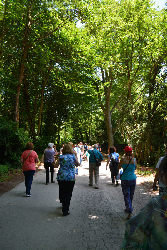 cfa parets - fageda juny 2014 (13)