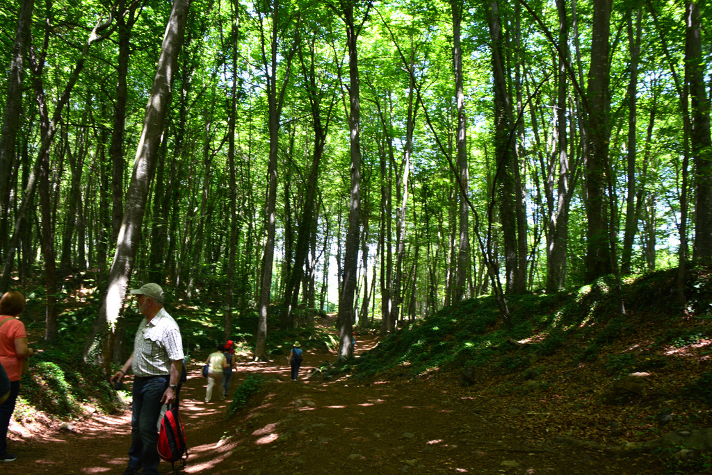 cfa parets - fageda juny 2014 (14)