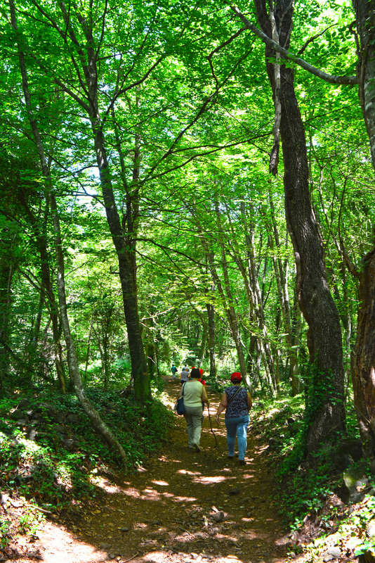 cfa parets - fageda juny 2014 (15)