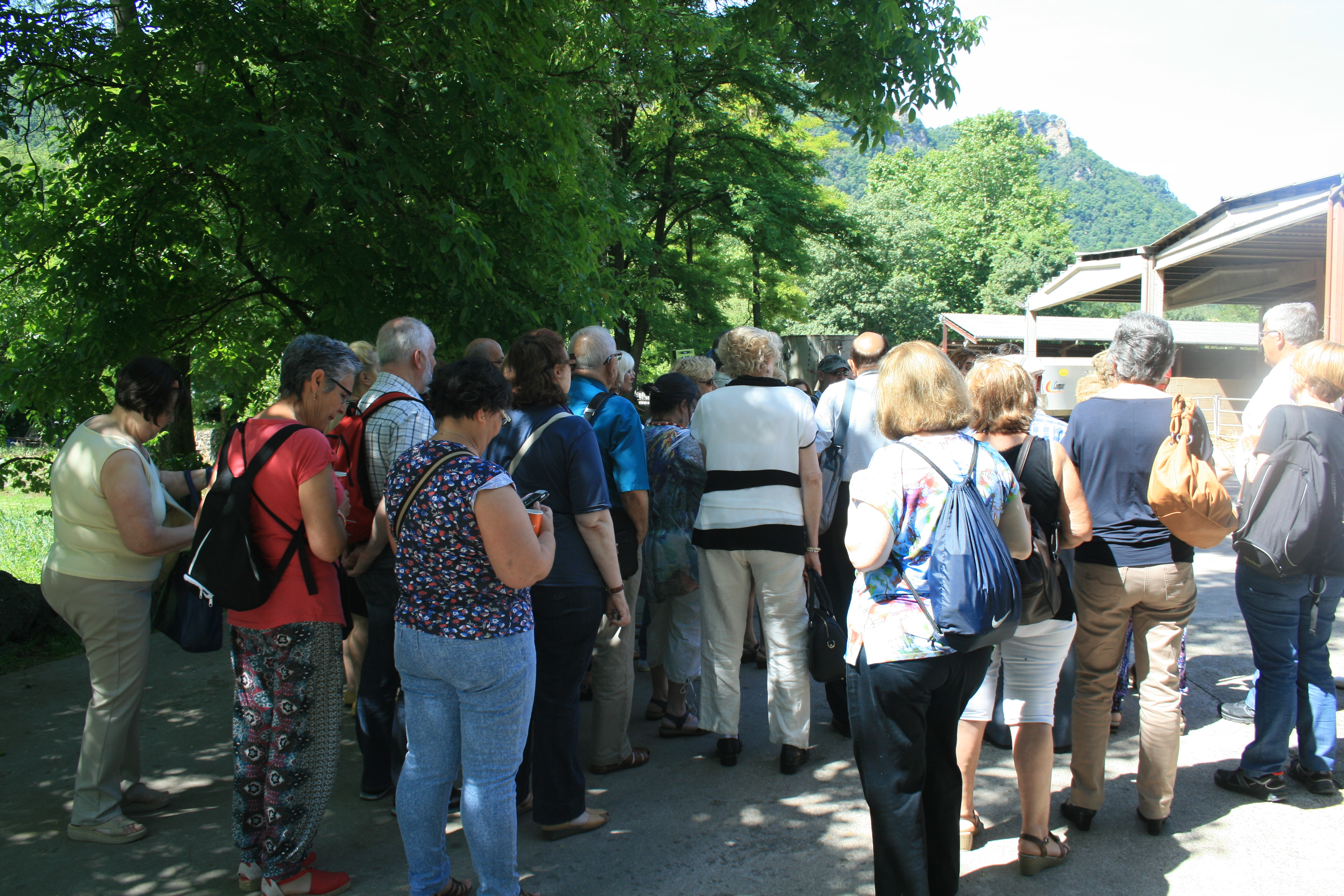 cfa parets - fageda juny 2014 (4)