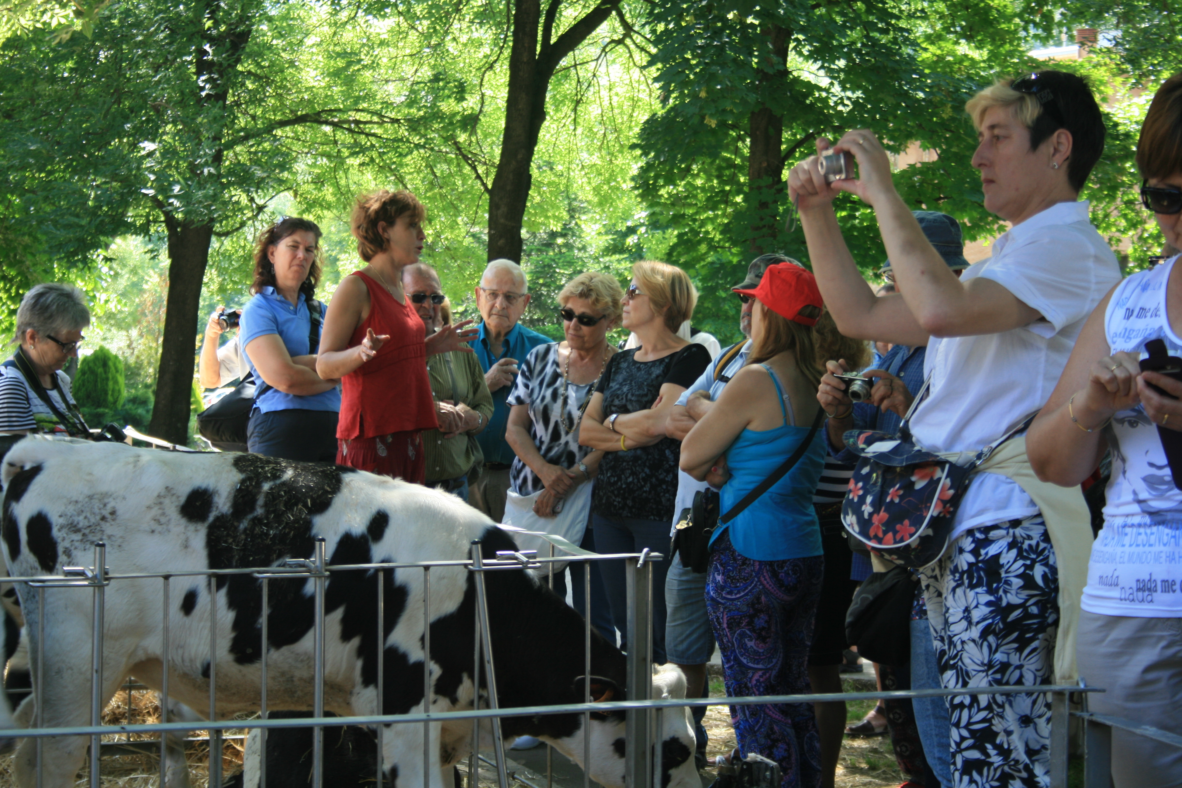 cfa parets - fageda juny 2014 (5)
