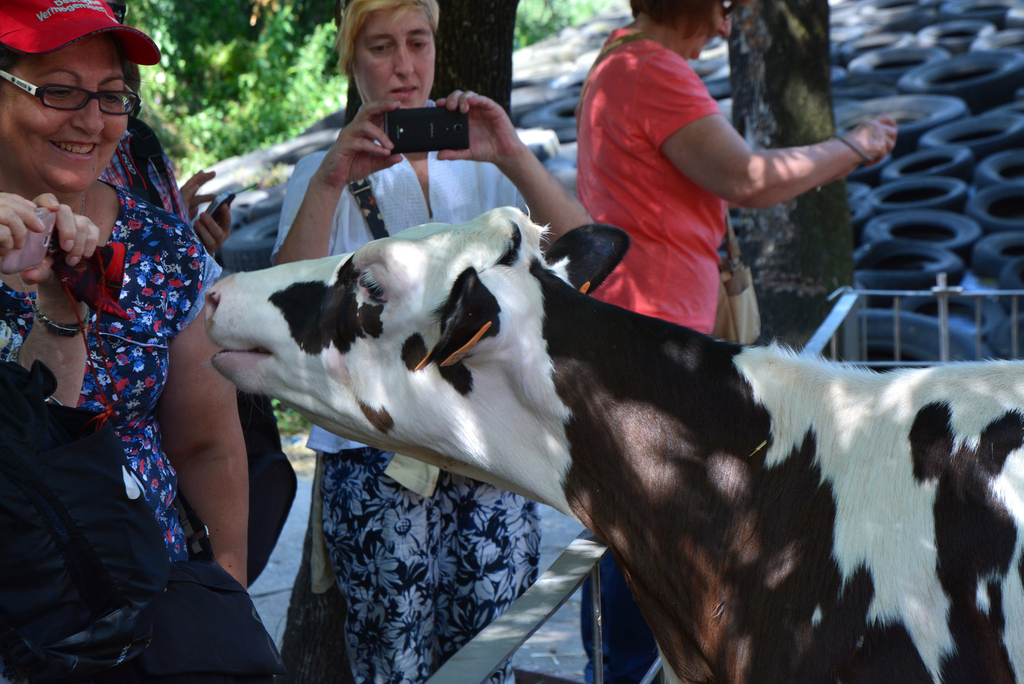 cfa parets - fageda juny 2014 (6)