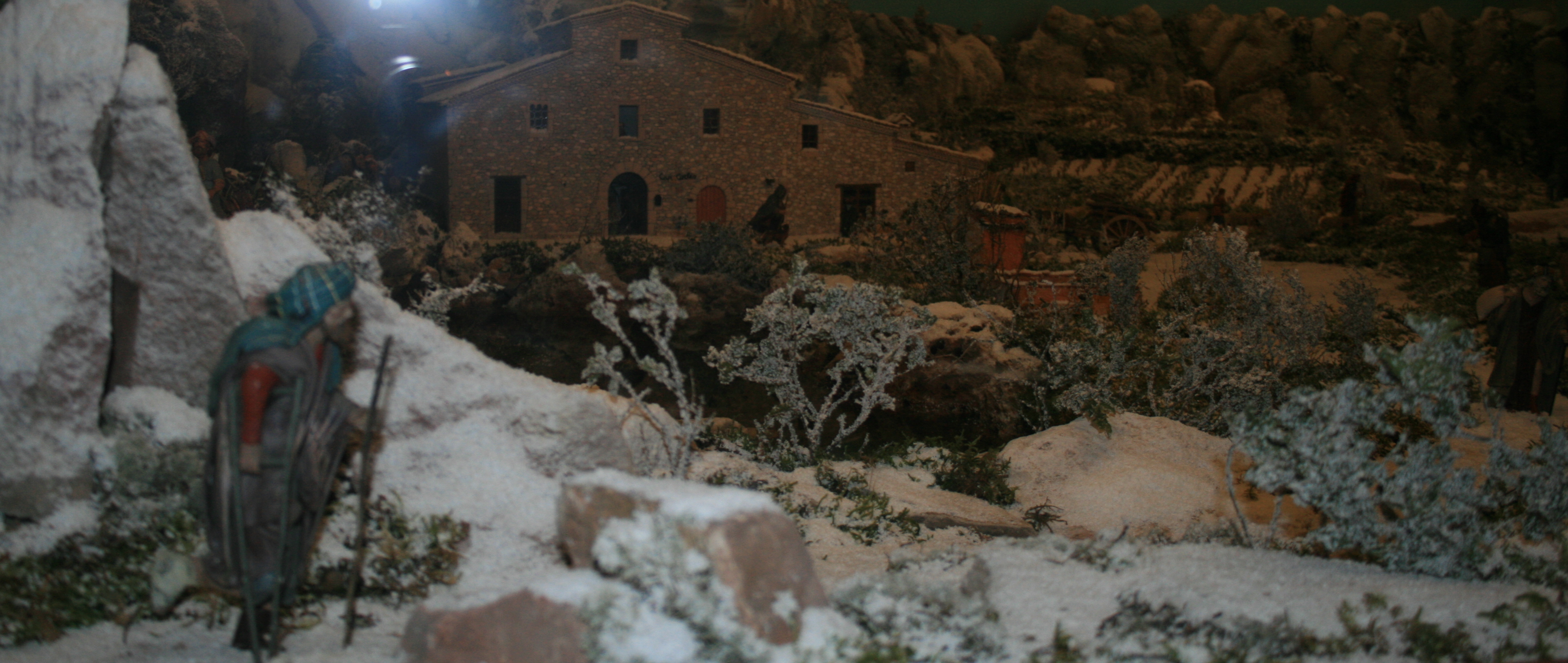 novembre 2014 visita pessebres (2)