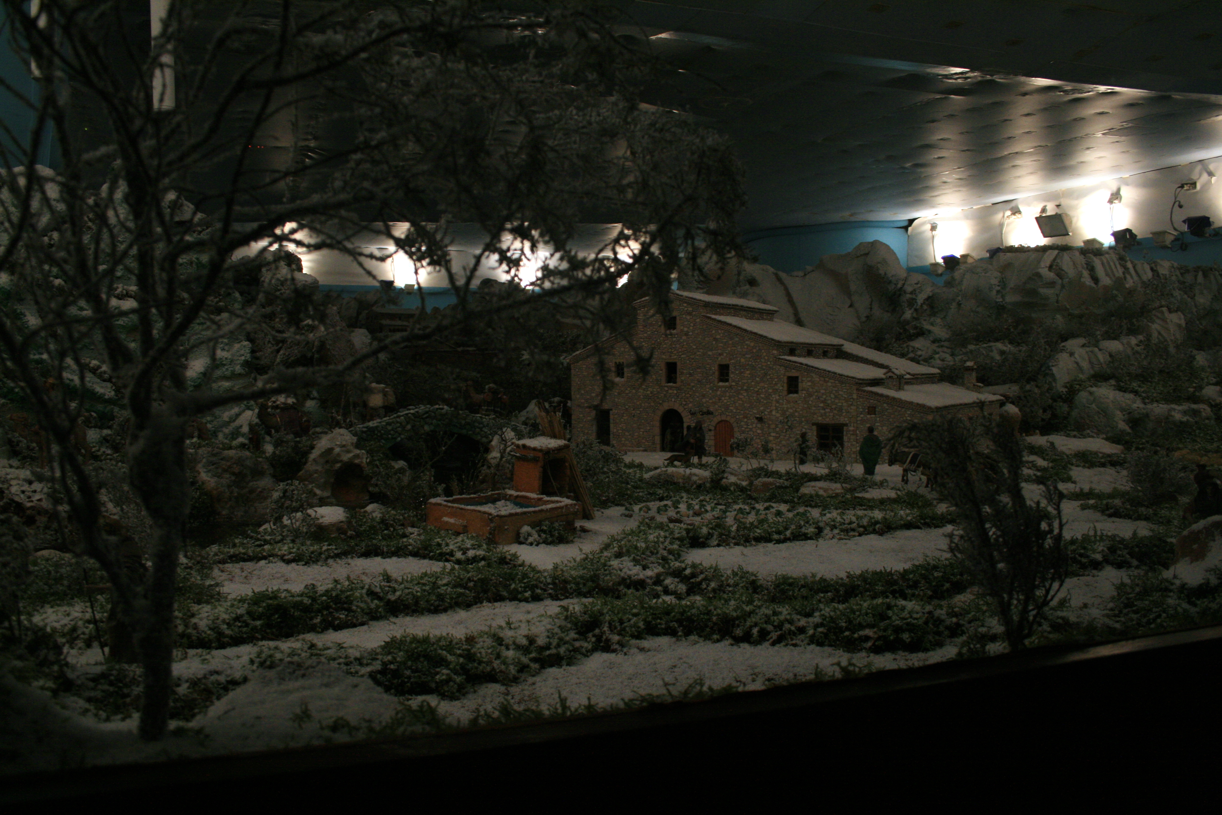 novembre 2014 visita pessebres (4)