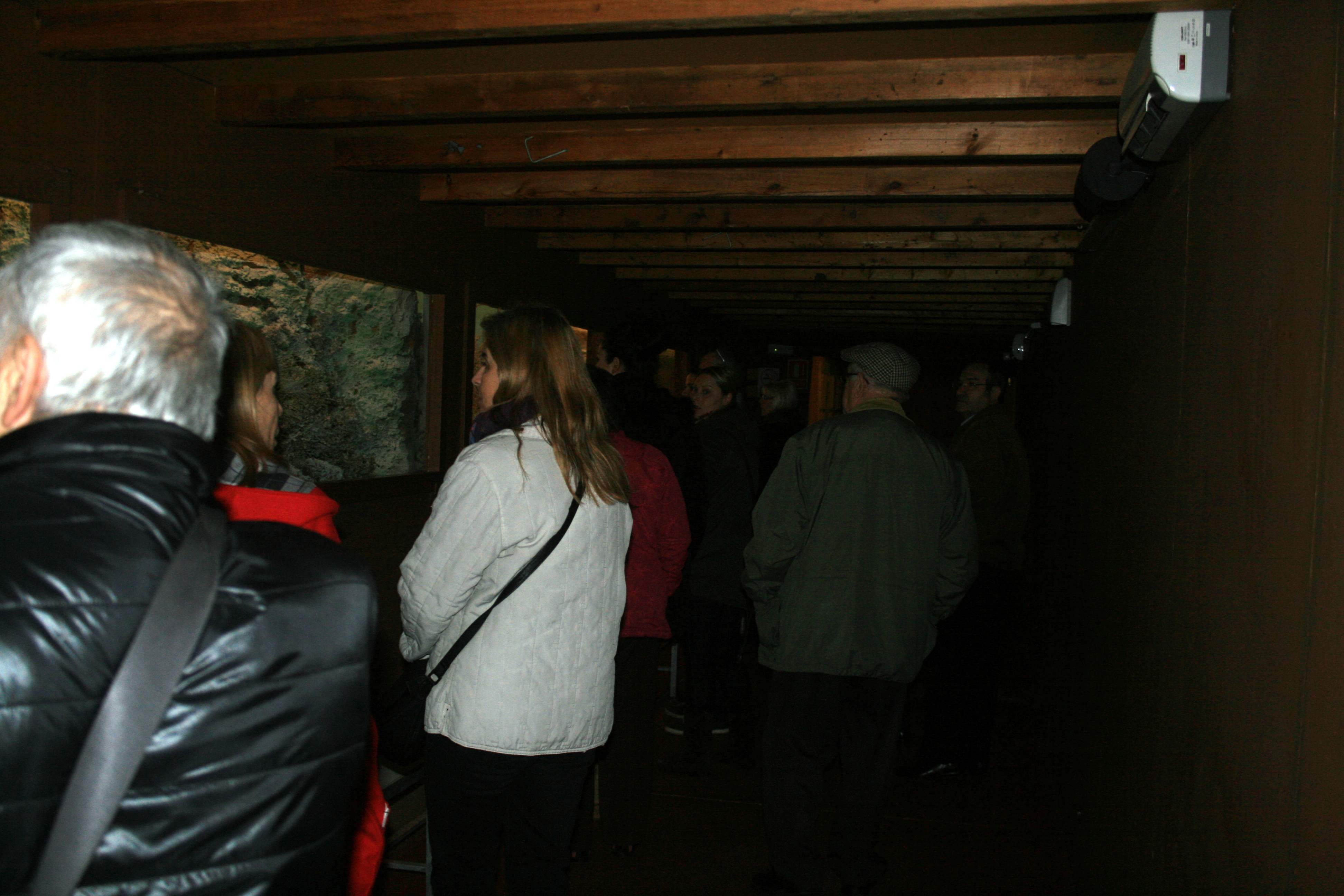 novembre 2014 visita pessebres