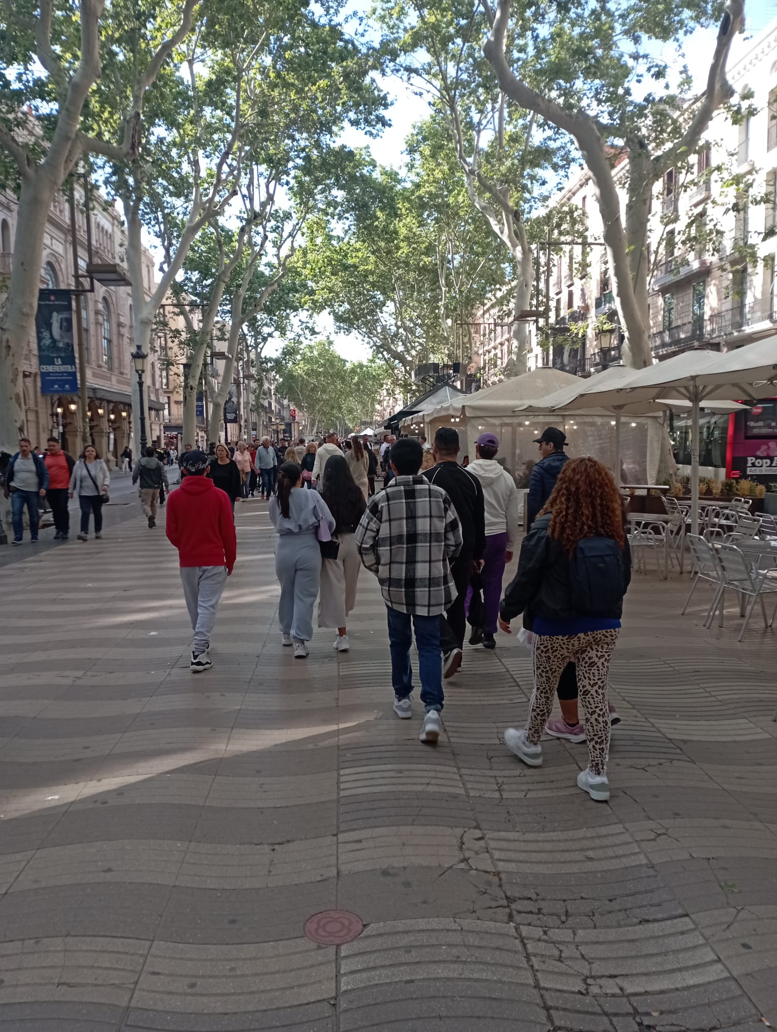 WhatsApp Image 2024-05-15 at 18.01.57