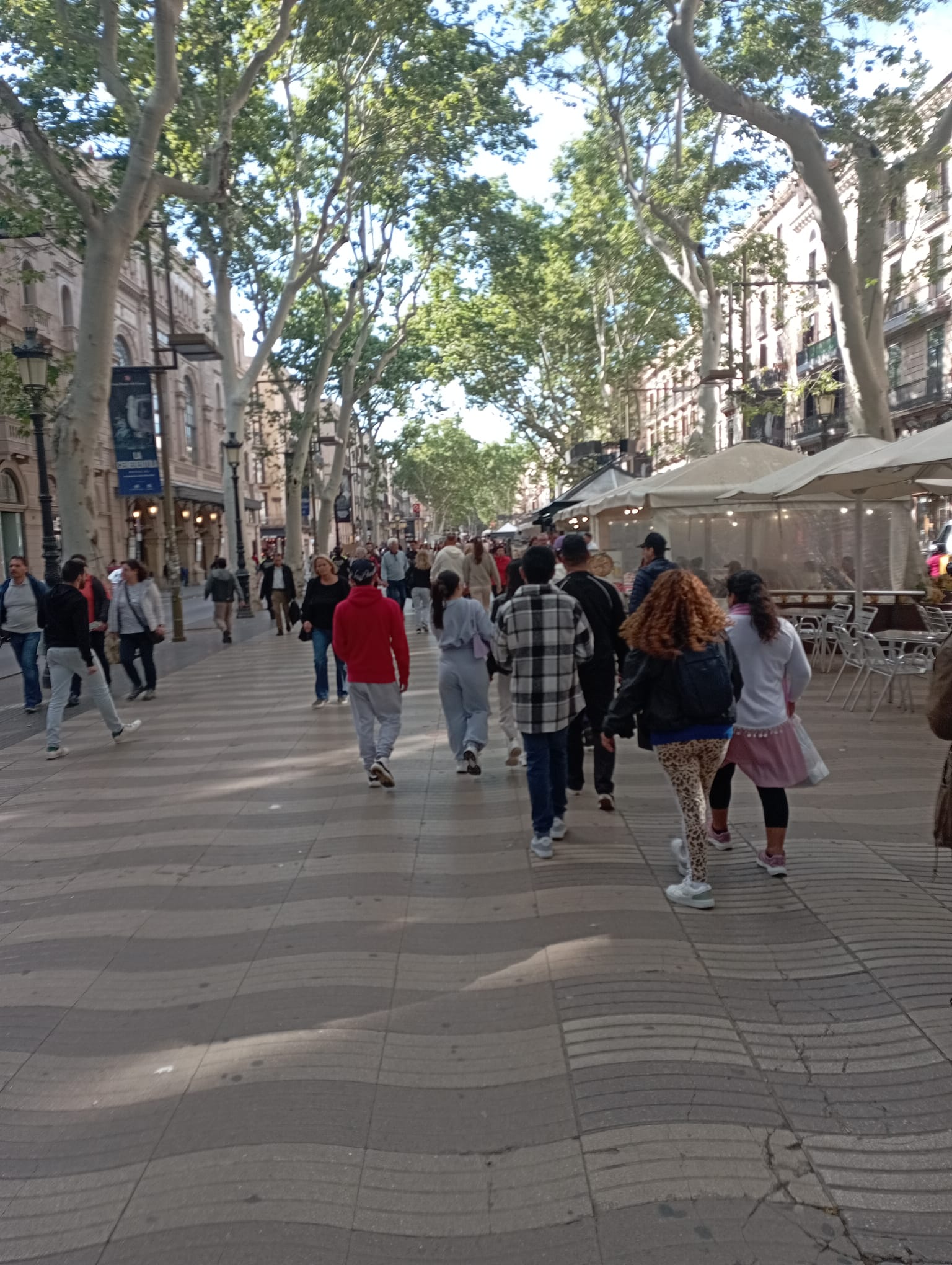 WhatsApp Image 2024-05-15 at 18.01.58