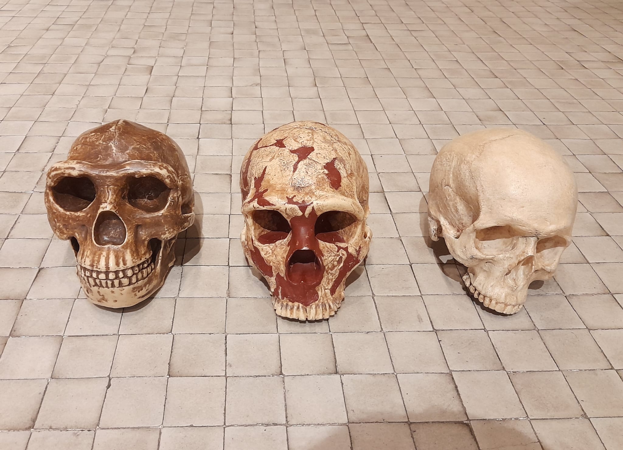 WhatsApp Image 2025-02-19 at 15.07.42