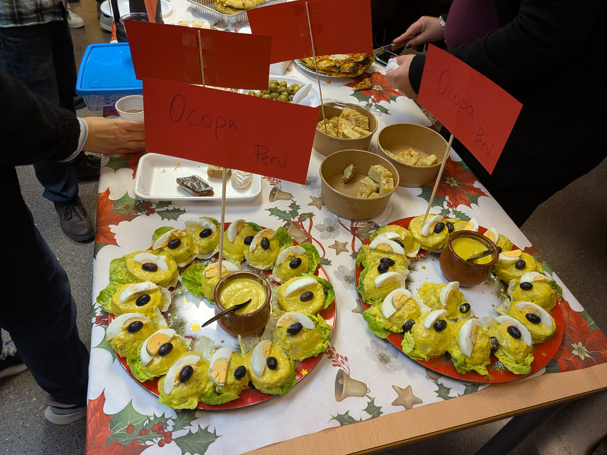 WhatsApp Image 2026-01-17 at 15.36.31 (1)