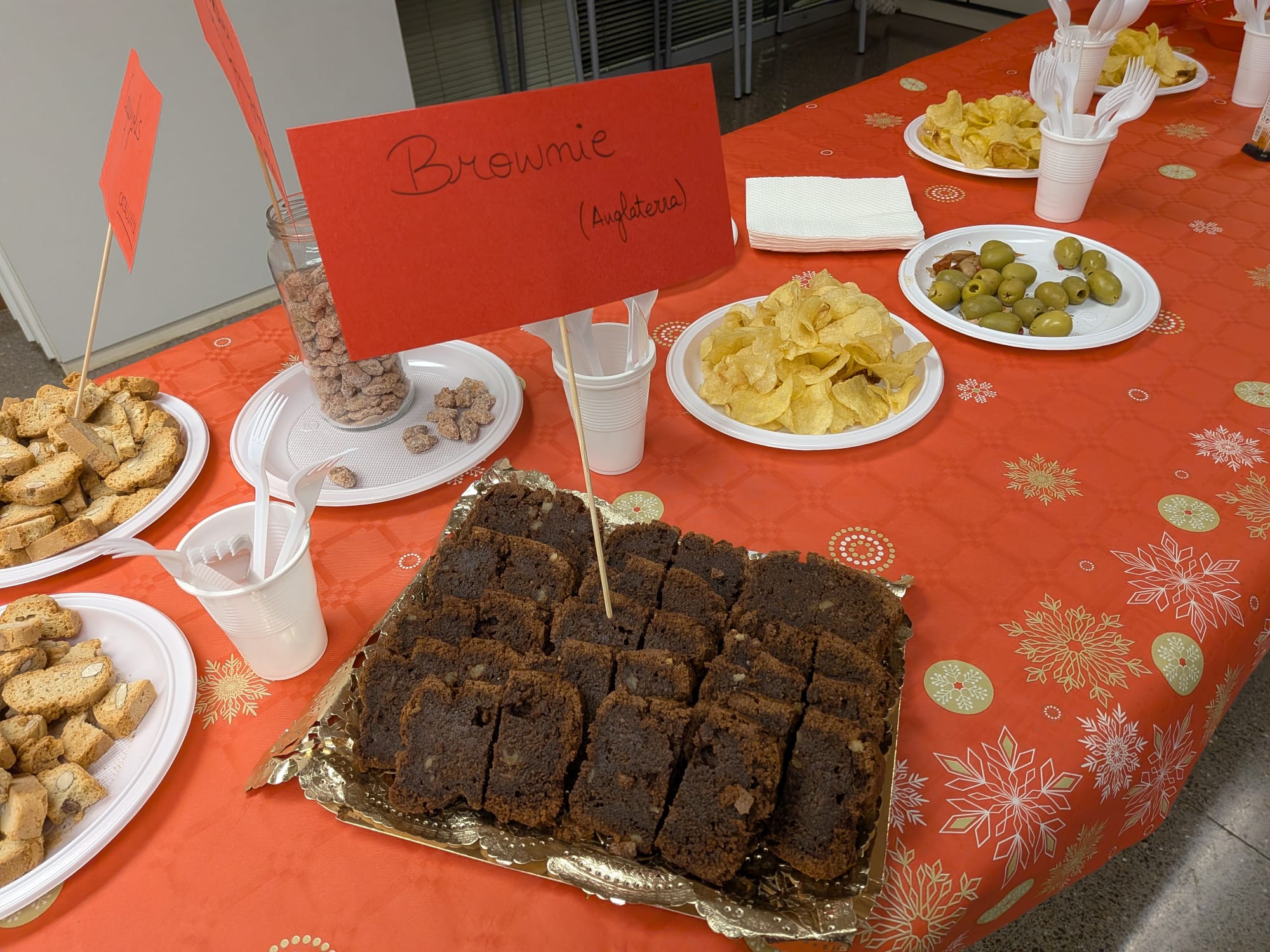 WhatsApp Image 2026-01-17 at 15.36.45 (1)