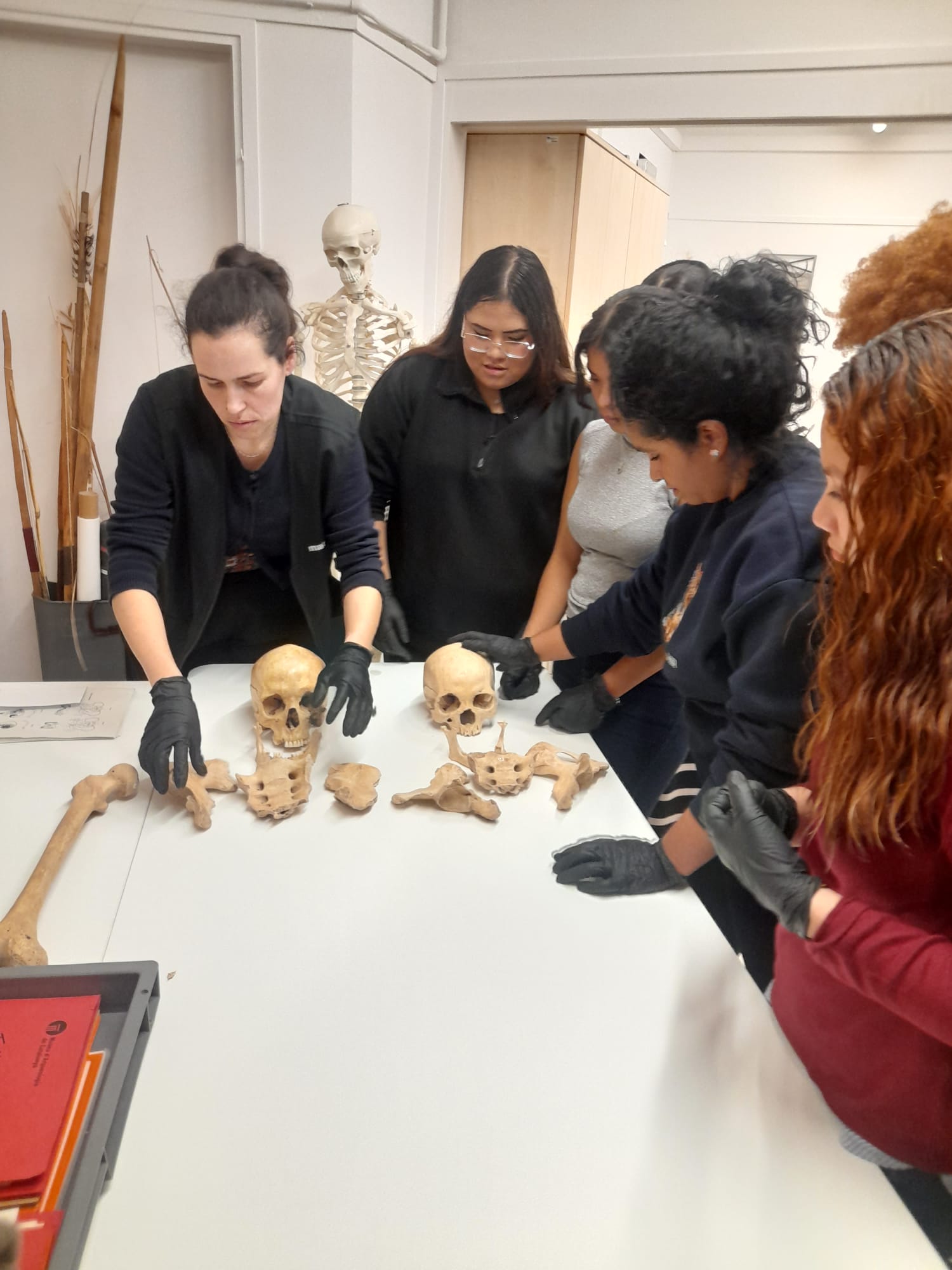 WhatsApp Image 2026-02-09 at 16.46.51