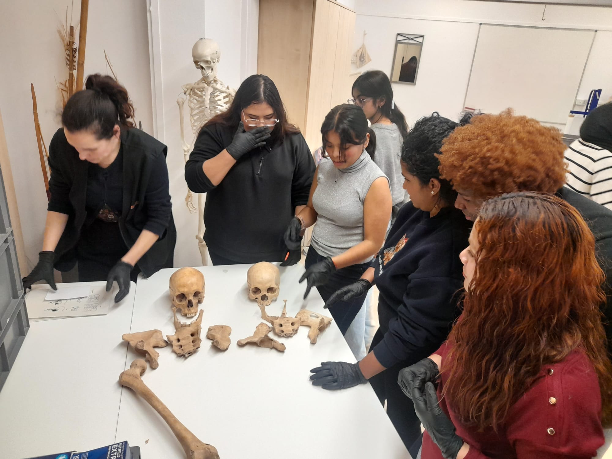 WhatsApp Image 2026-02-09 at 16.46.54 (1)