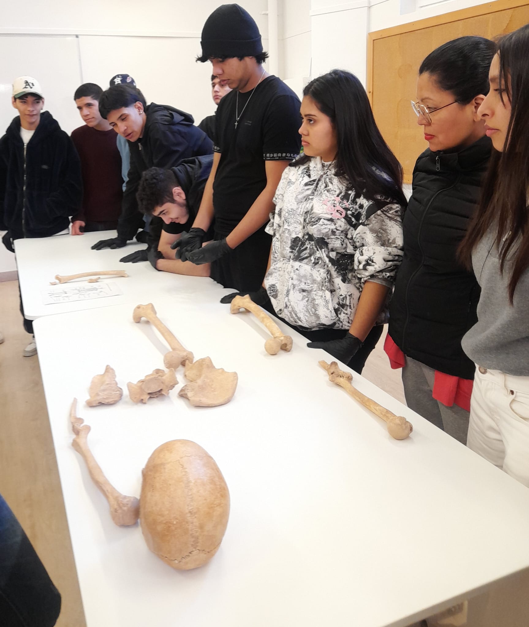 WhatsApp Image 2026-02-09 at 16.47.53