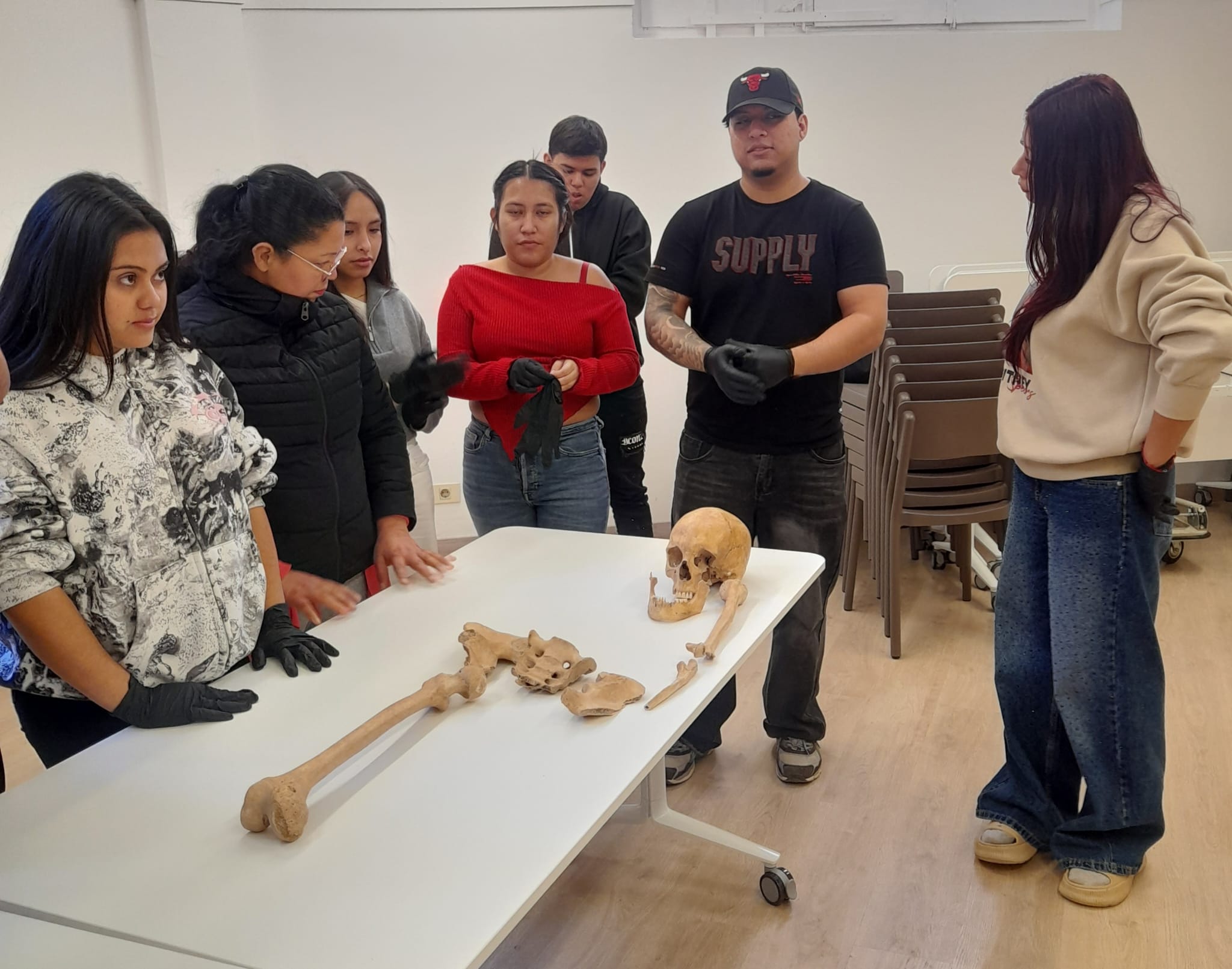 WhatsApp Image 2026-02-09 at 16.47.54