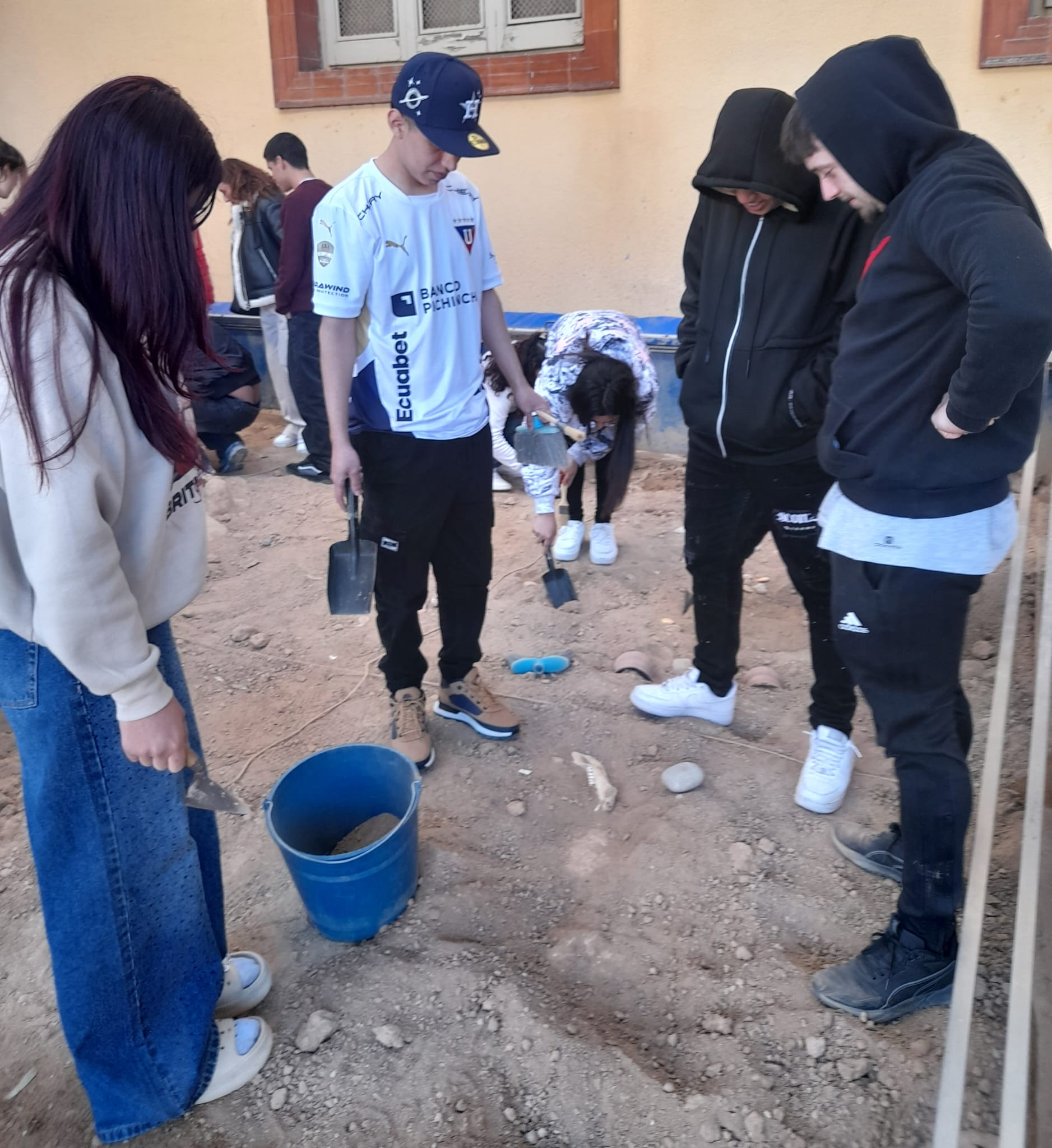 WhatsApp Image 2026-02-09 at 16.47.56