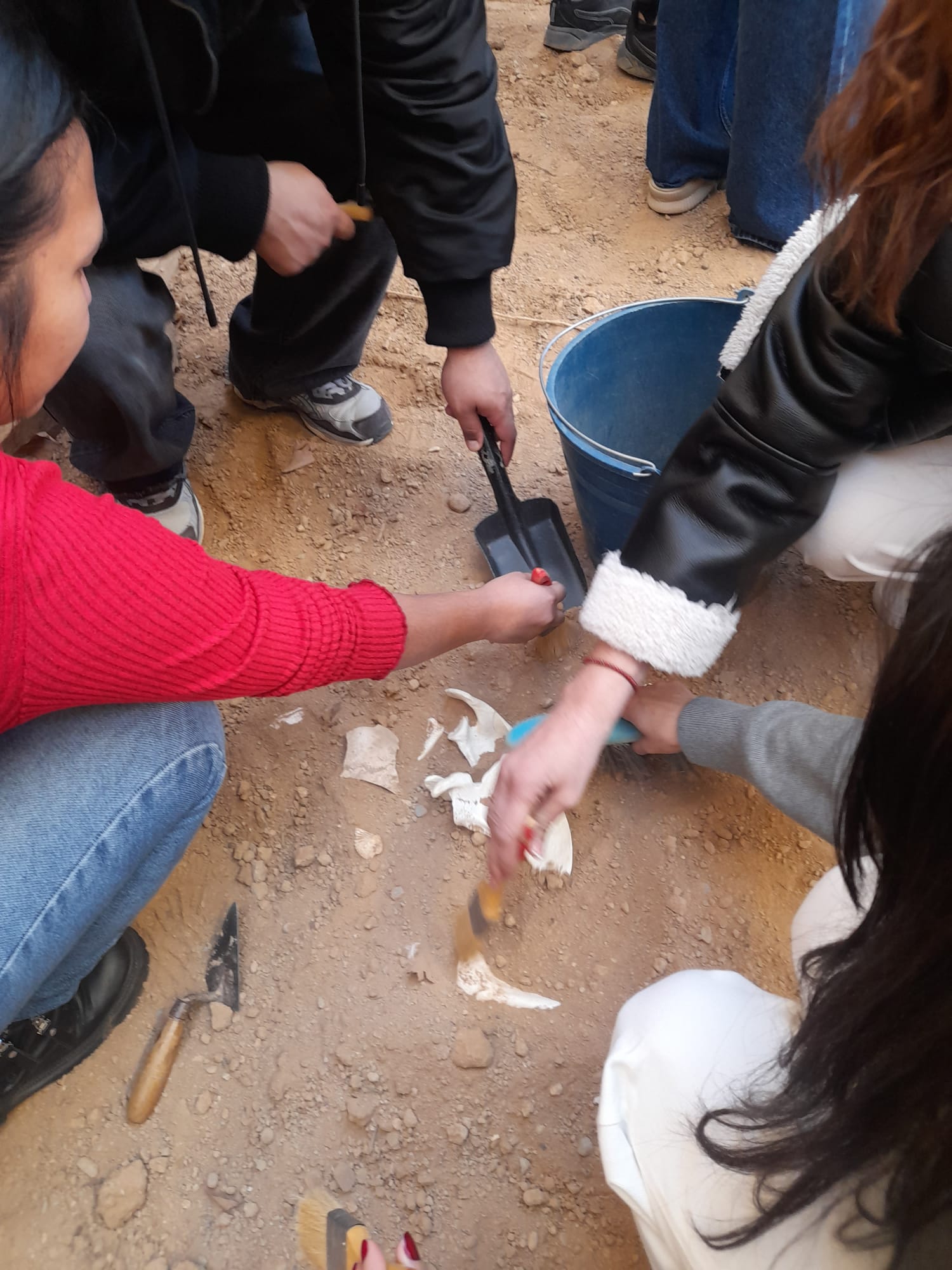 WhatsApp Image 2026-02-09 at 16.48.02