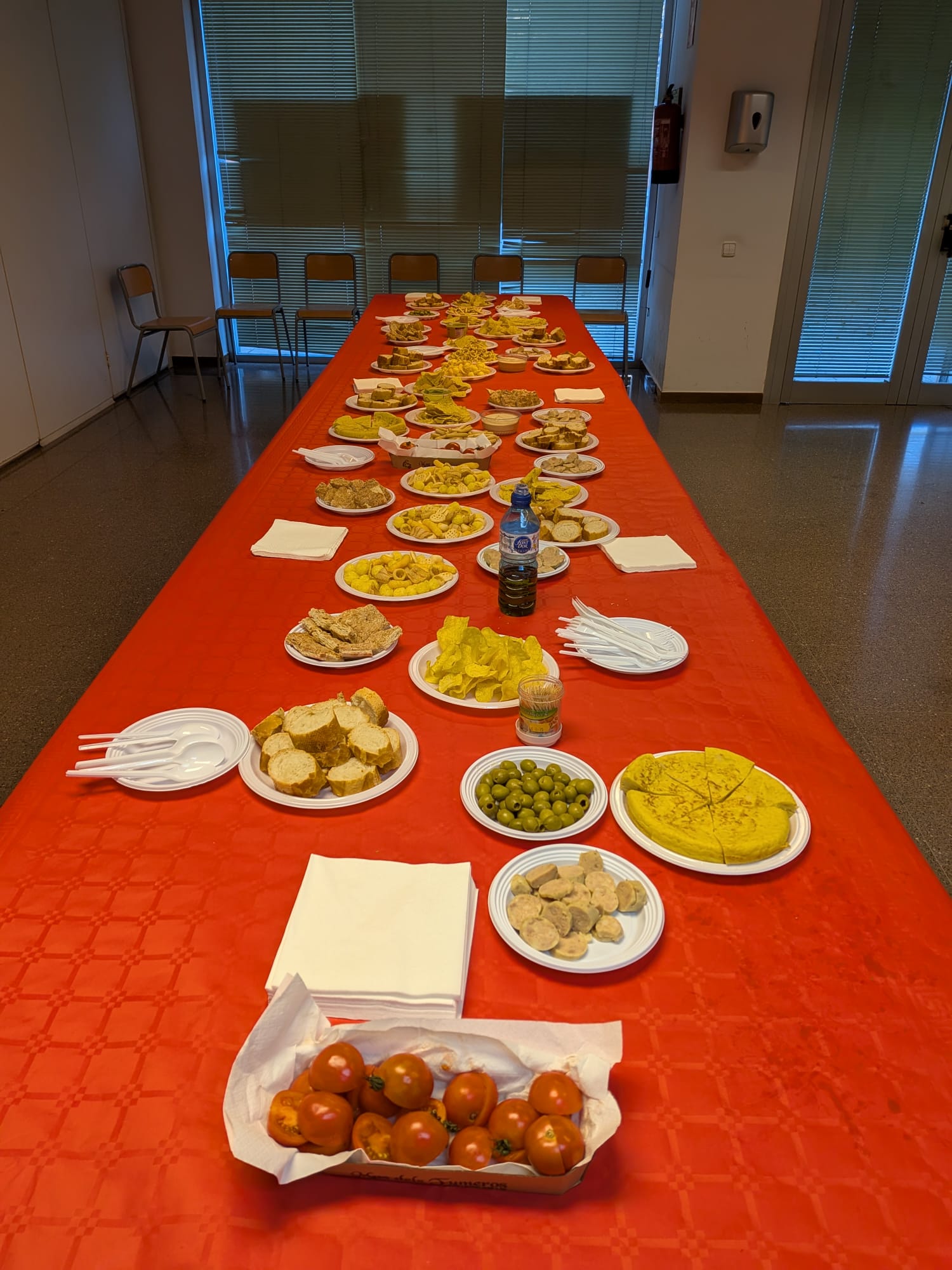 WhatsApp Image 2026-02-19 at 20.13.08