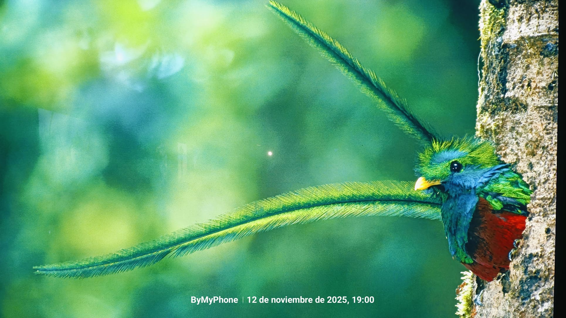 IMG-20251113-WA0005 (1)