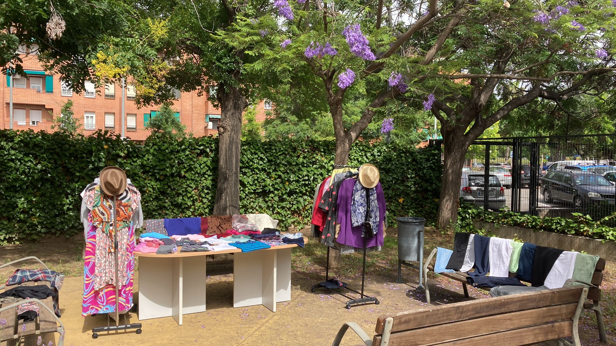 WhatsApp Image 2024-06-19 at 16.47.07