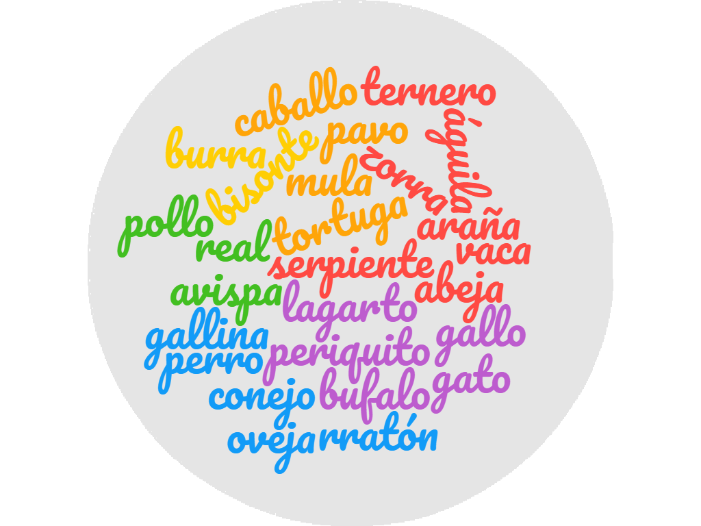 nube de palabras Paquita