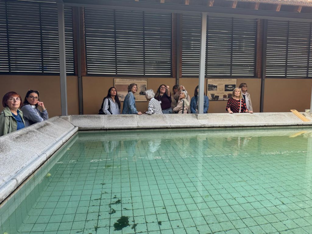 WhatsApp Image 2025-10-21 at 13.25.21