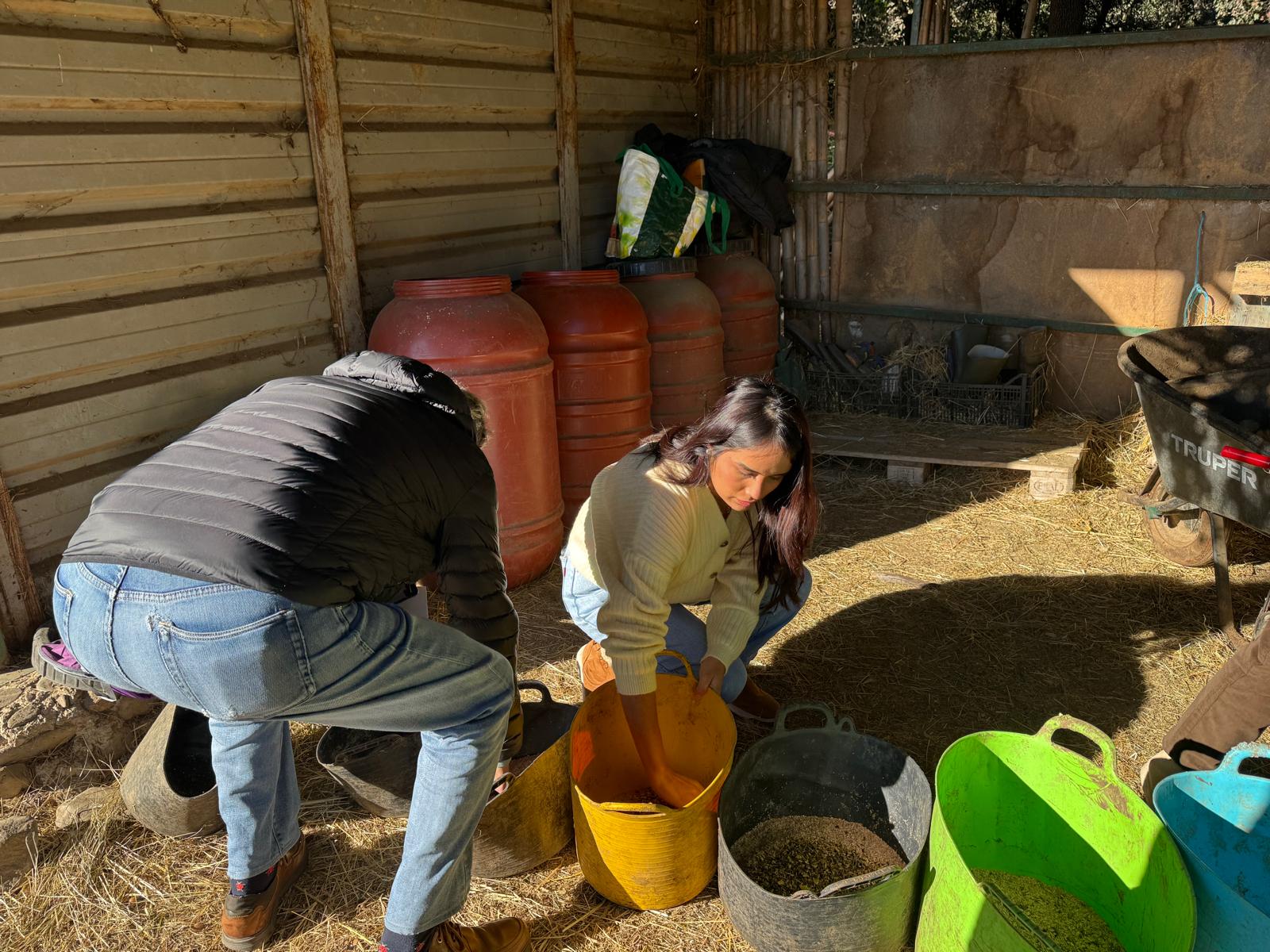 WhatsApp Image 2025-12-02 at 13.38.33