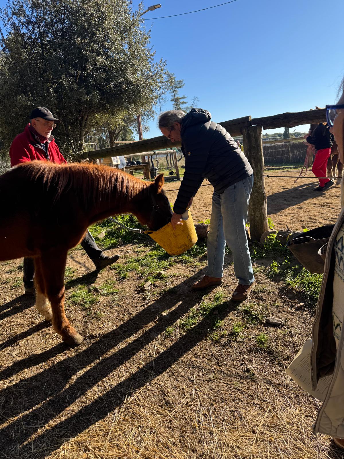 WhatsApp Image 2025-12-02 at 13.38.48