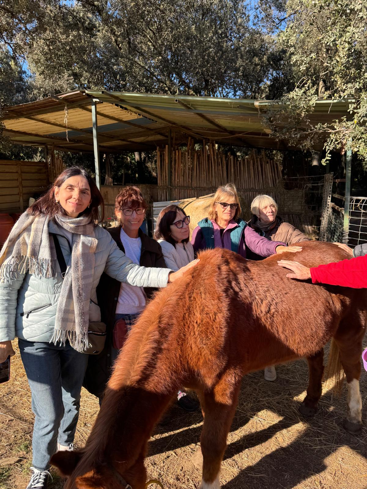 WhatsApp Image 2025-12-02 at 13.38.58