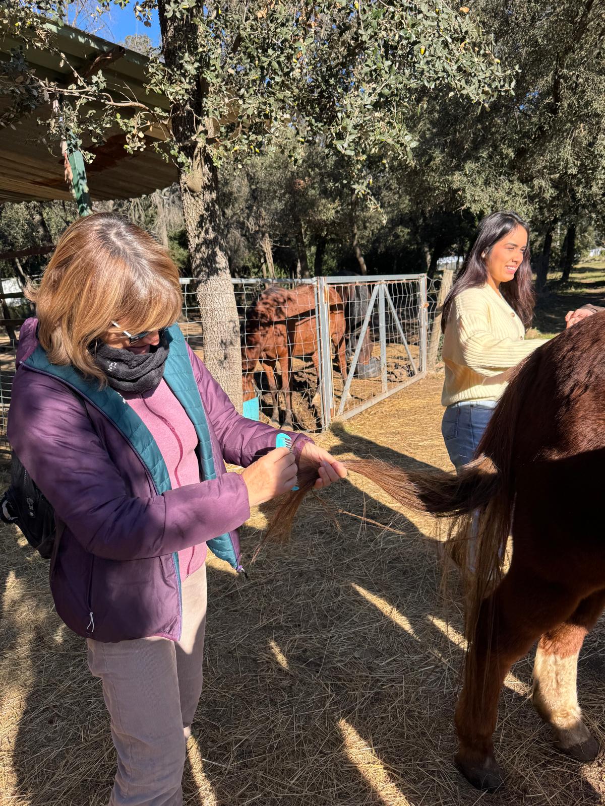 WhatsApp Image 2025-12-02 at 13.39.09