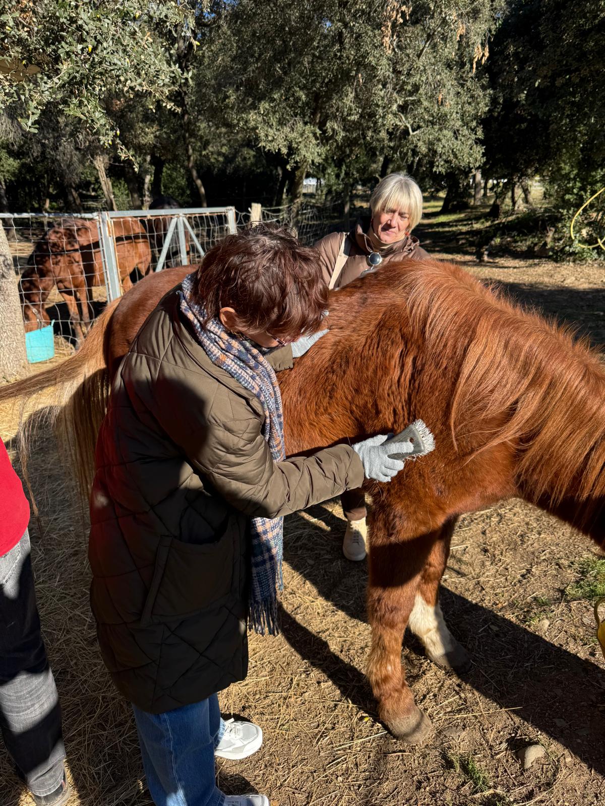 WhatsApp Image 2025-12-02 at 13.39.19