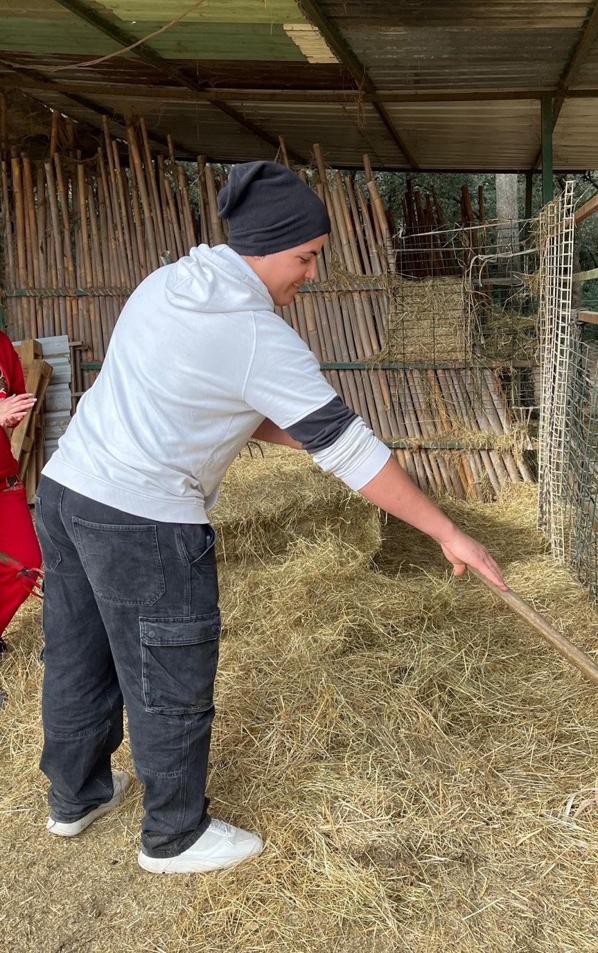 WhatsApp Image 2025-12-15 at 15.07.28