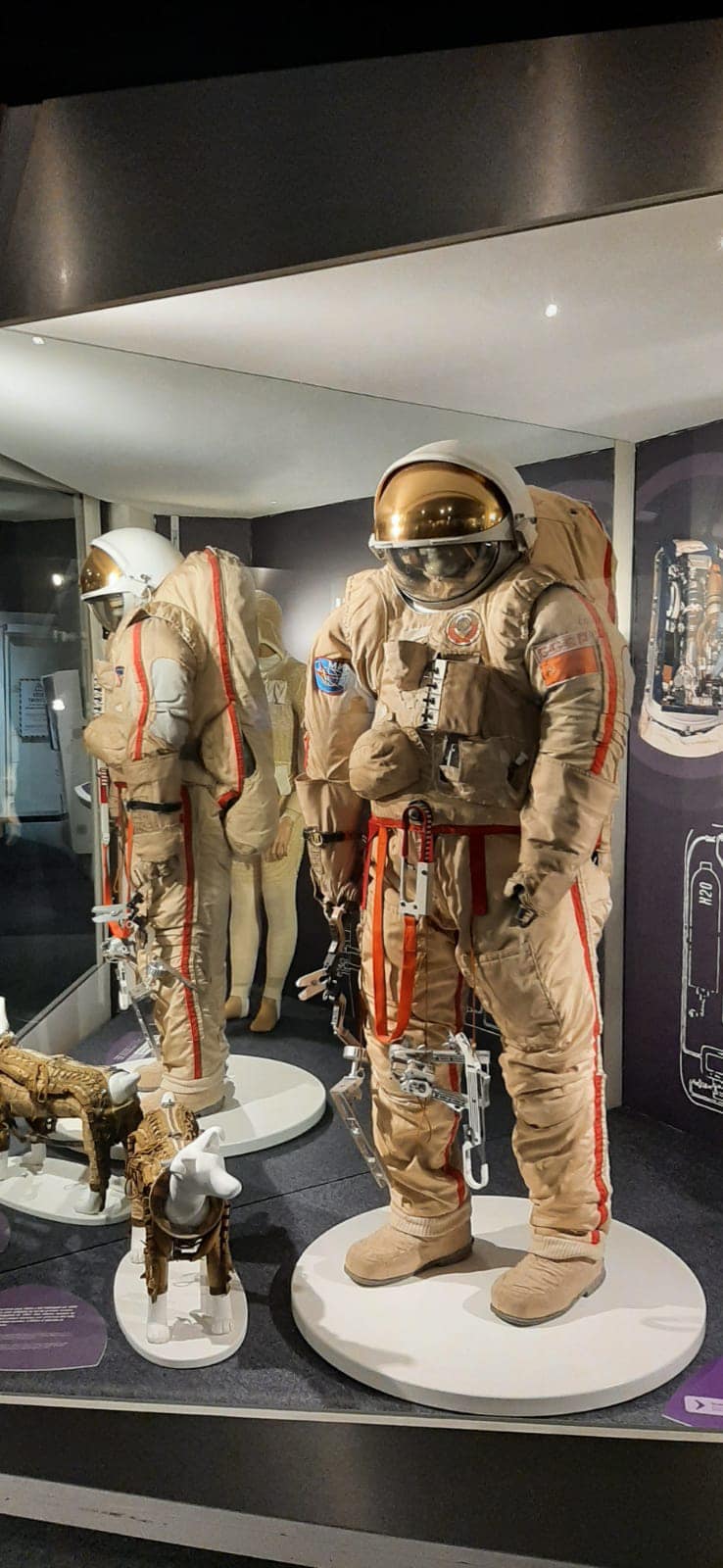 318091725_5829774553782724_1130914465115456412_n