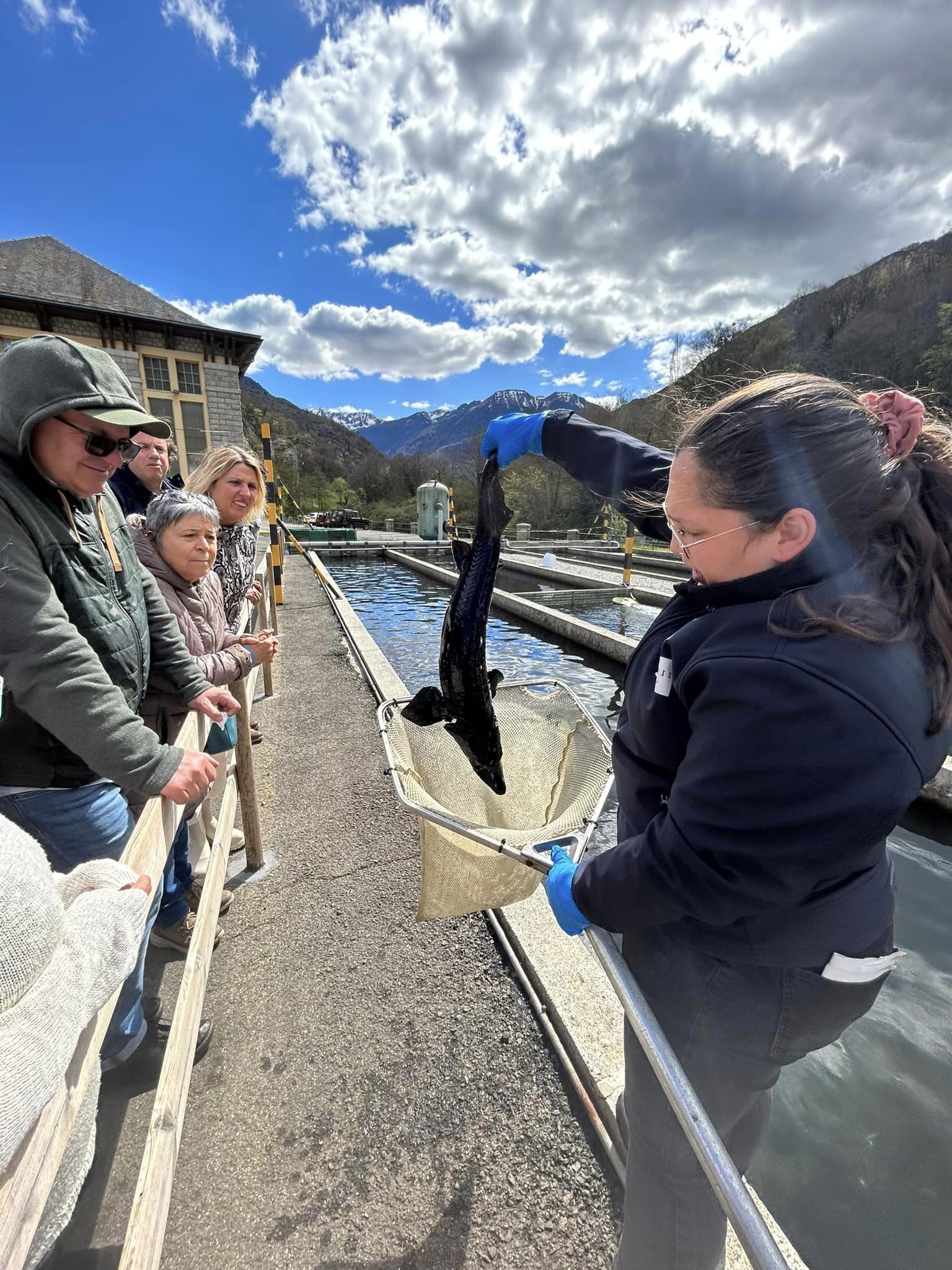 336913812_938199897457520_8414355827034625103_n