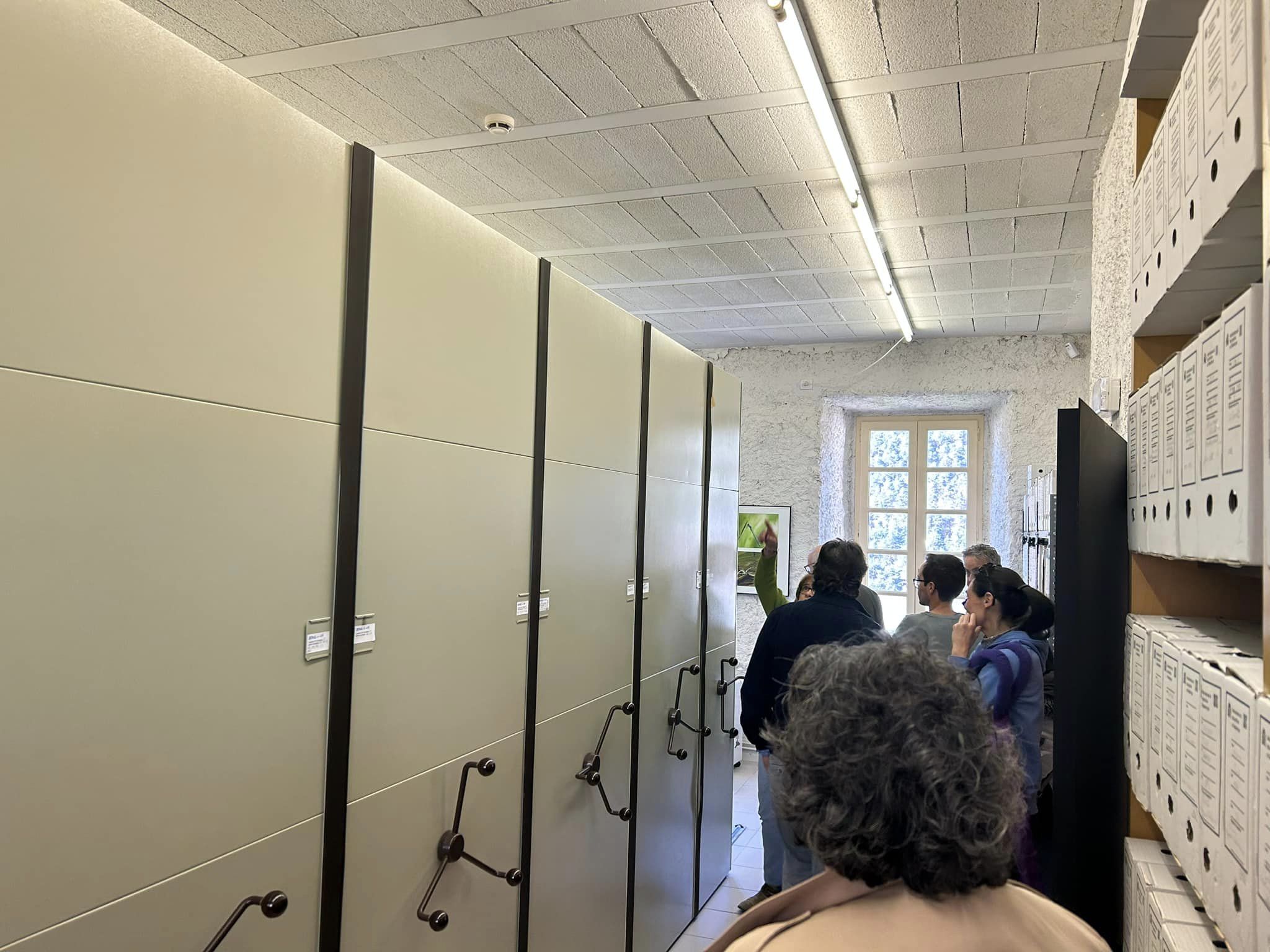 337296276_910632076870304_2643112593965424903_n