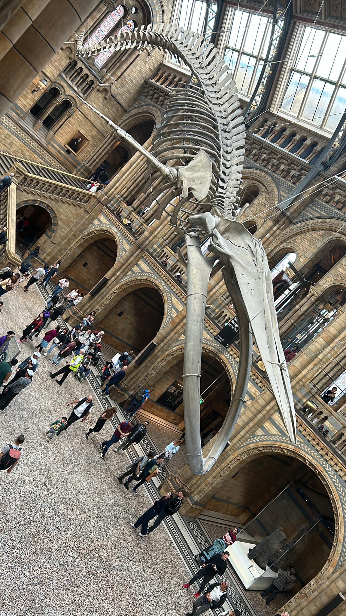 448272603_7854022584691234_2827365066604347140_n